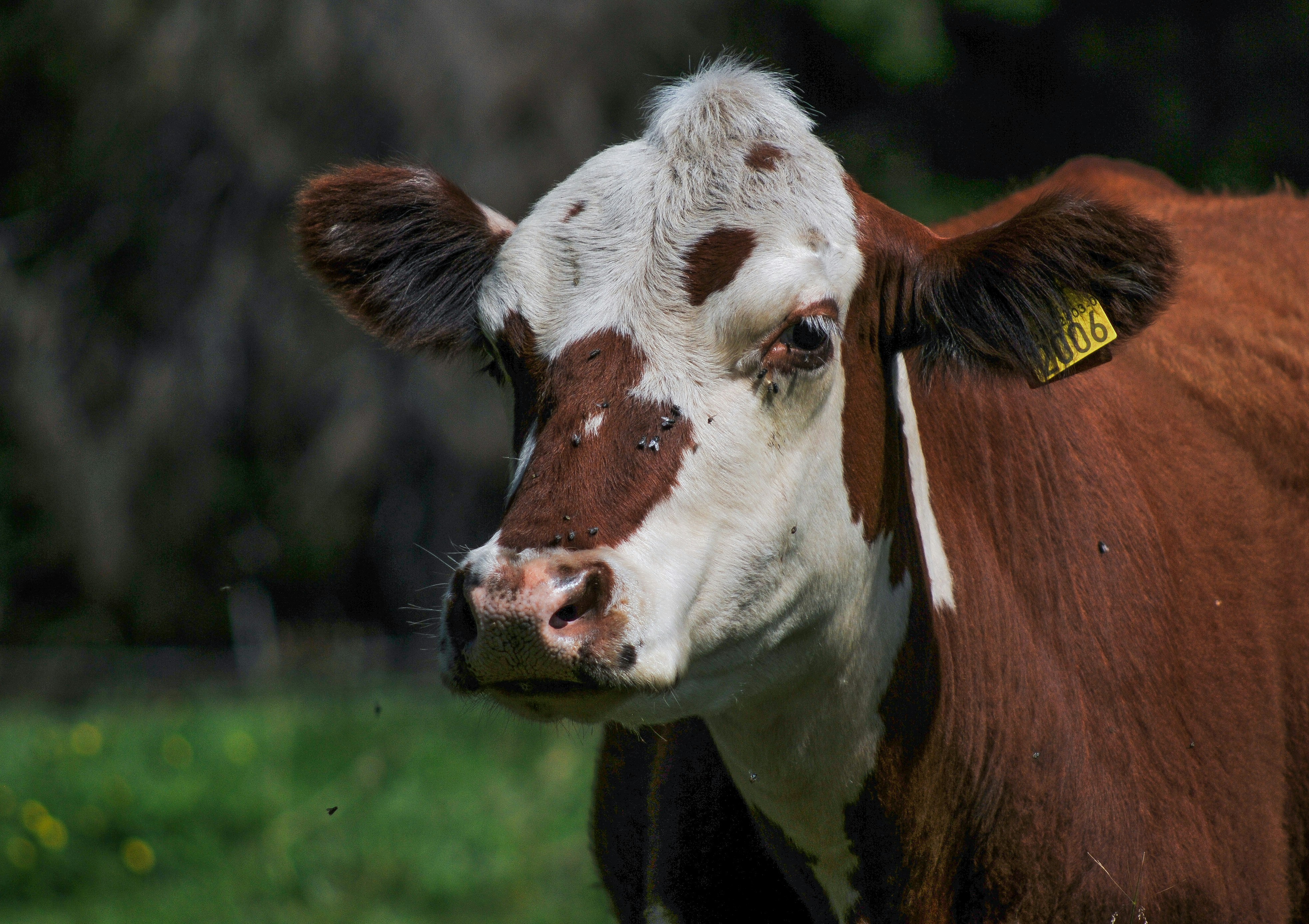 Photo by anna_storsul