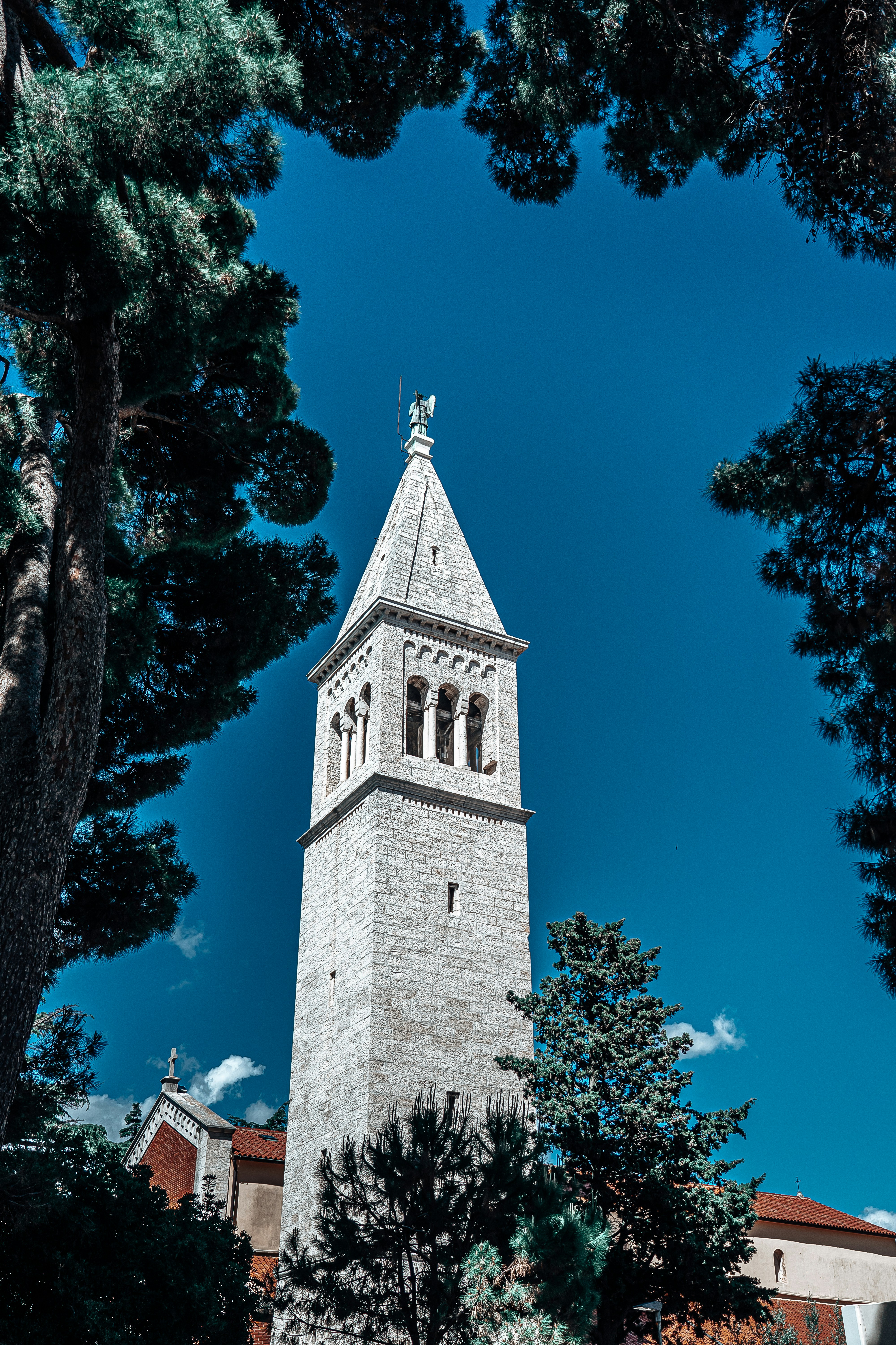 Photo by dominikperau