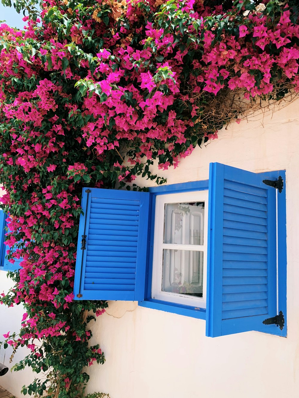 a blue house with a tree in the background