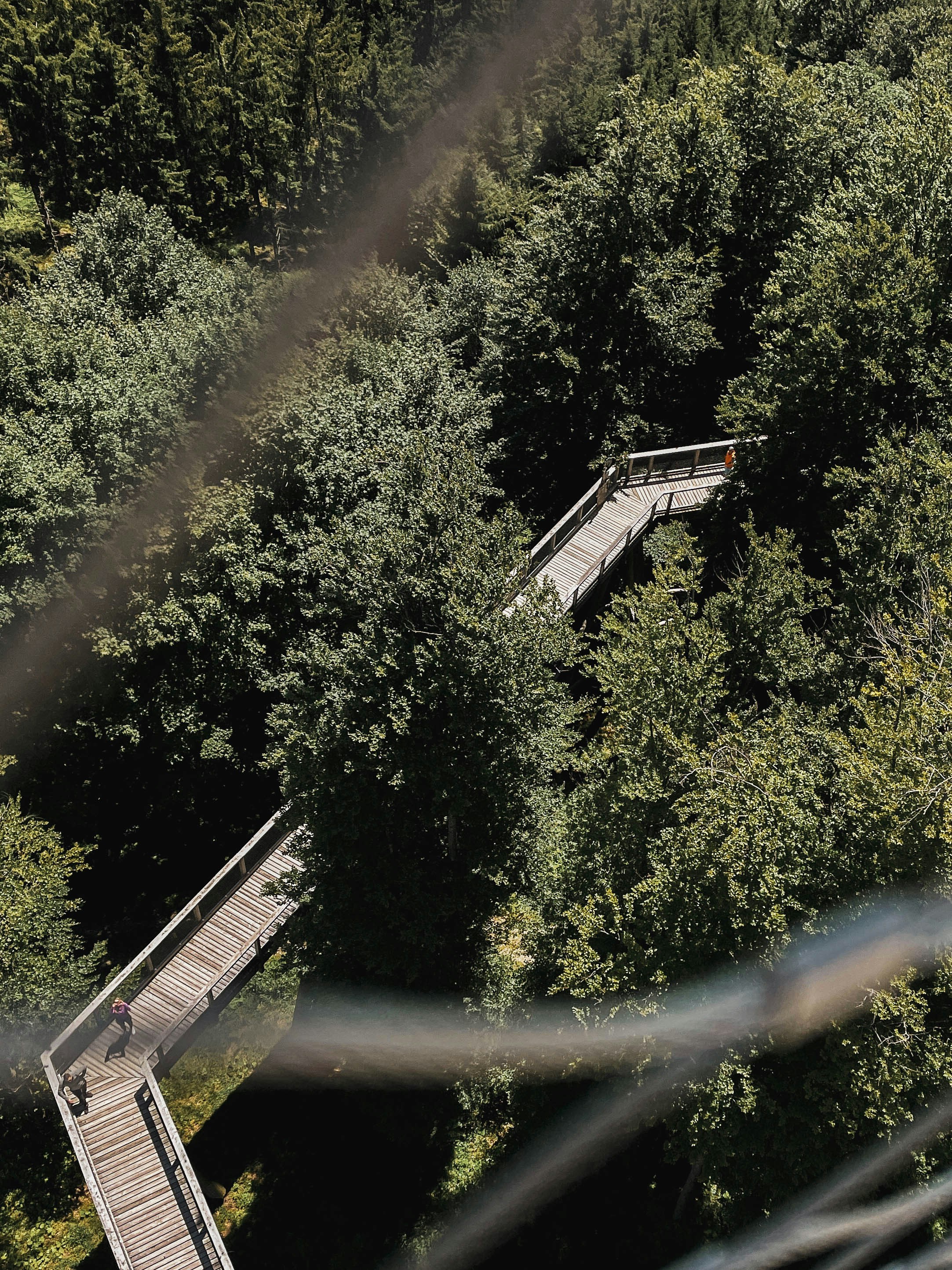 Photo by anna_c_wilhelm