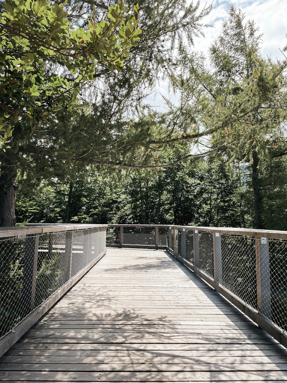 a bridge with trees on the side