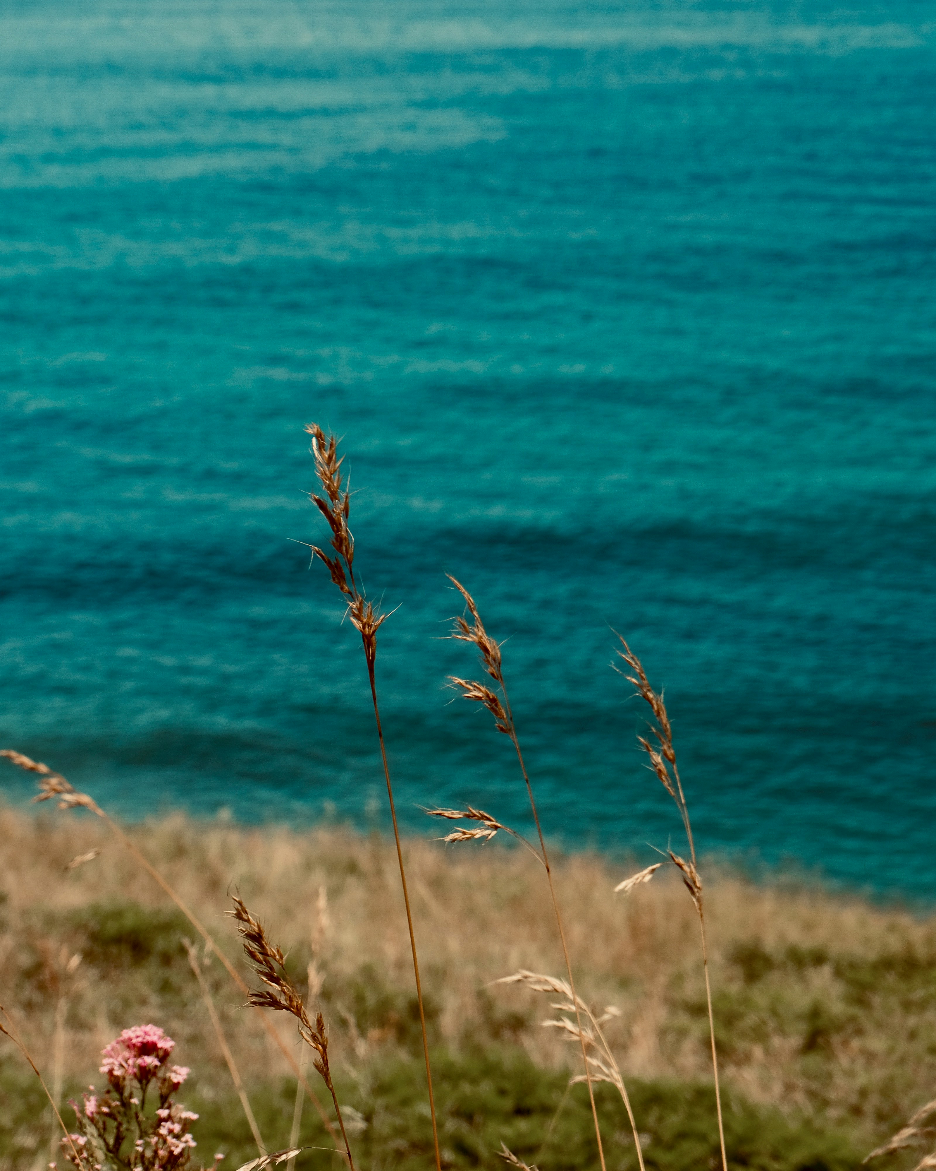 Photo by tiemenaperloo