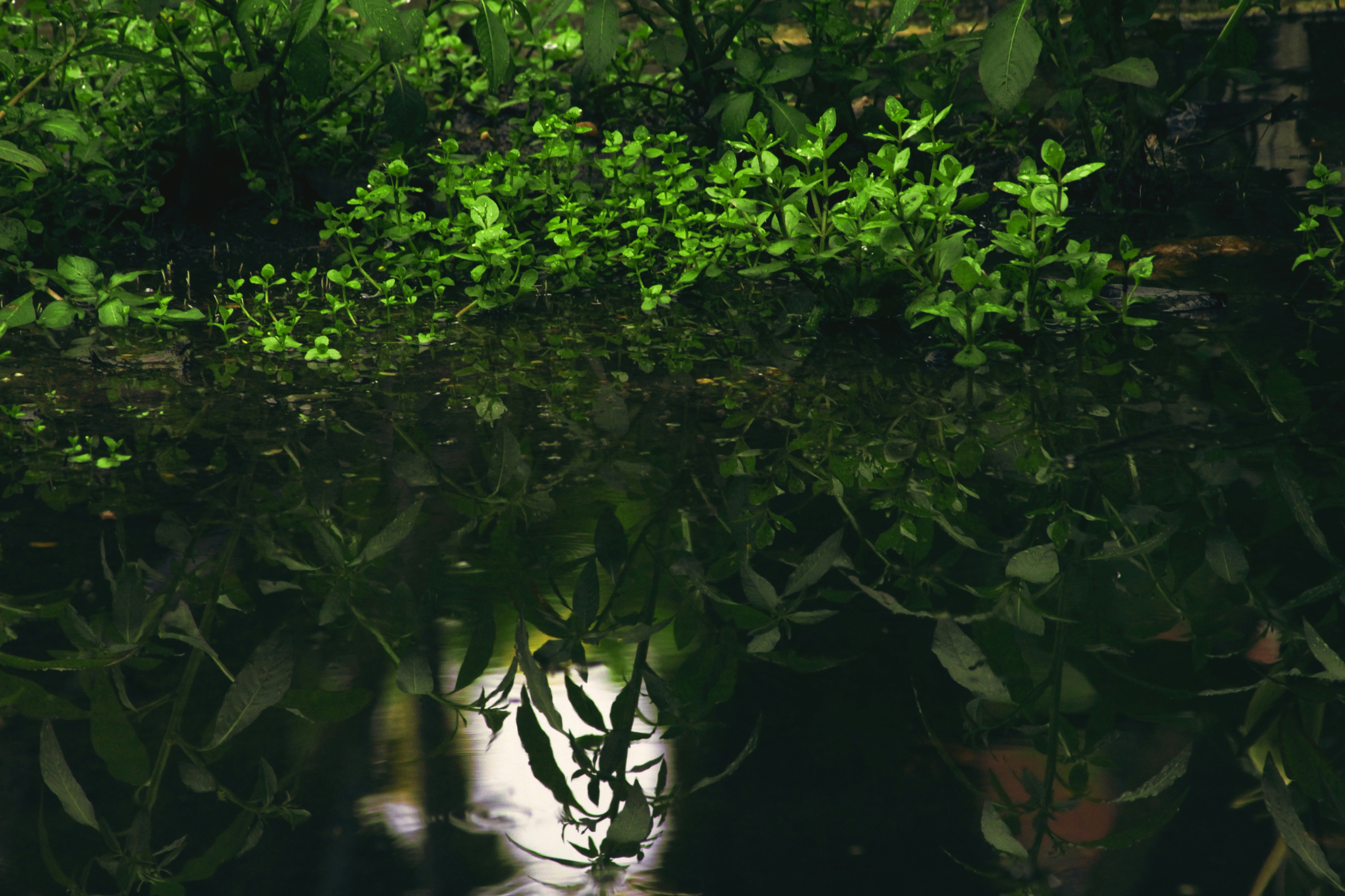 Photo by aungmyat1995