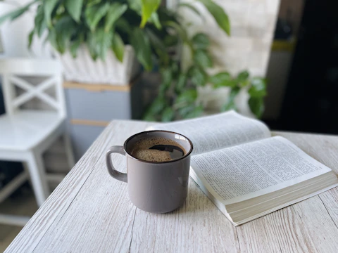 A cozy lifestyle scene: books, a plant, and a warm mug resting on a wooden table.