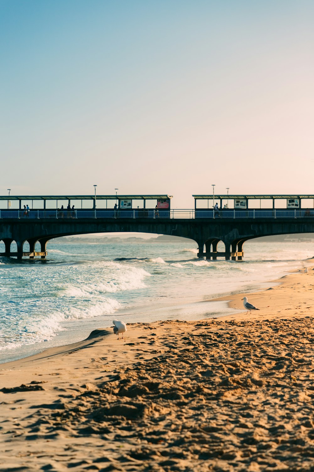 a train on a bridge over a beach