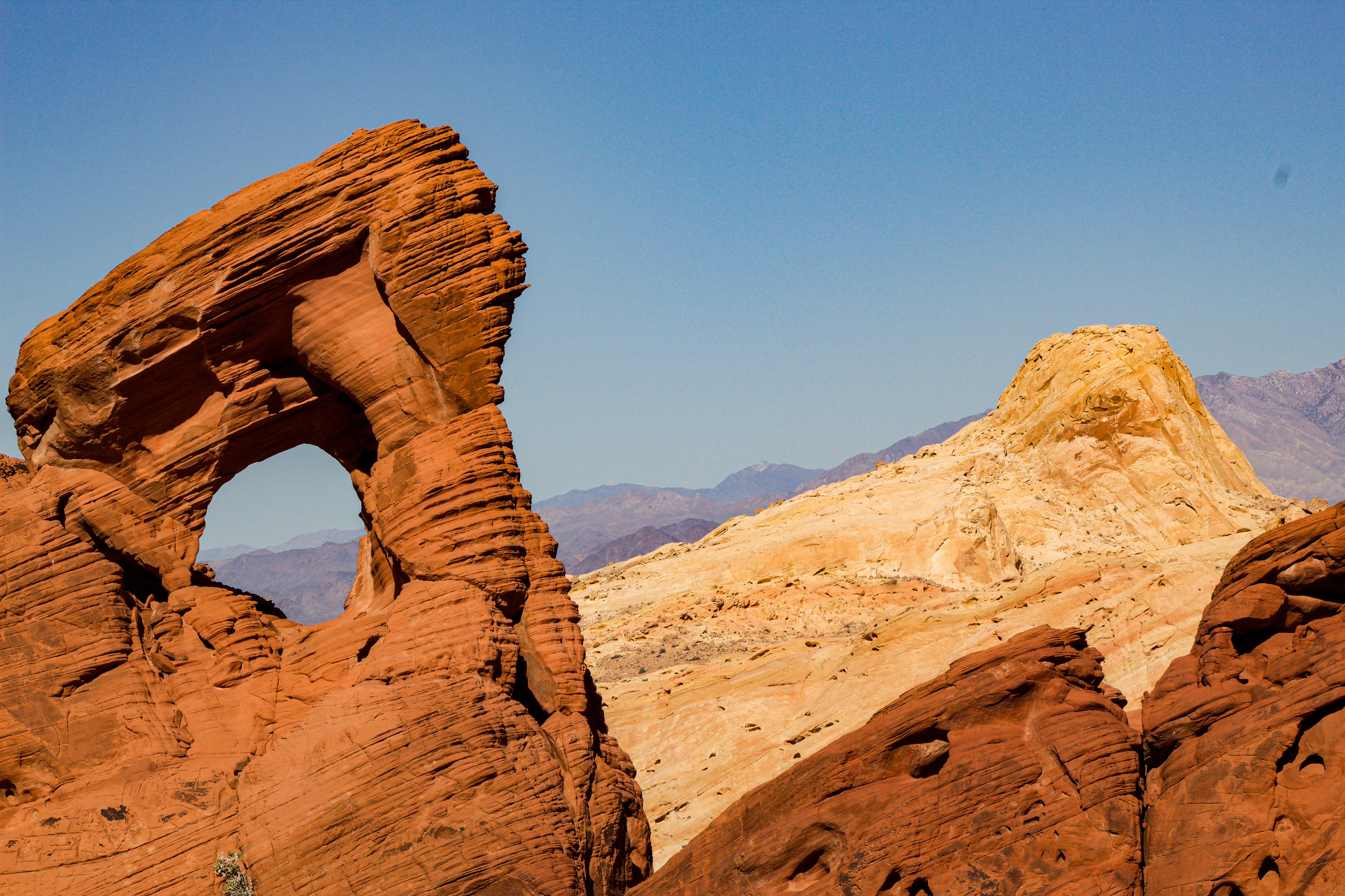 Photo by cy_stillman