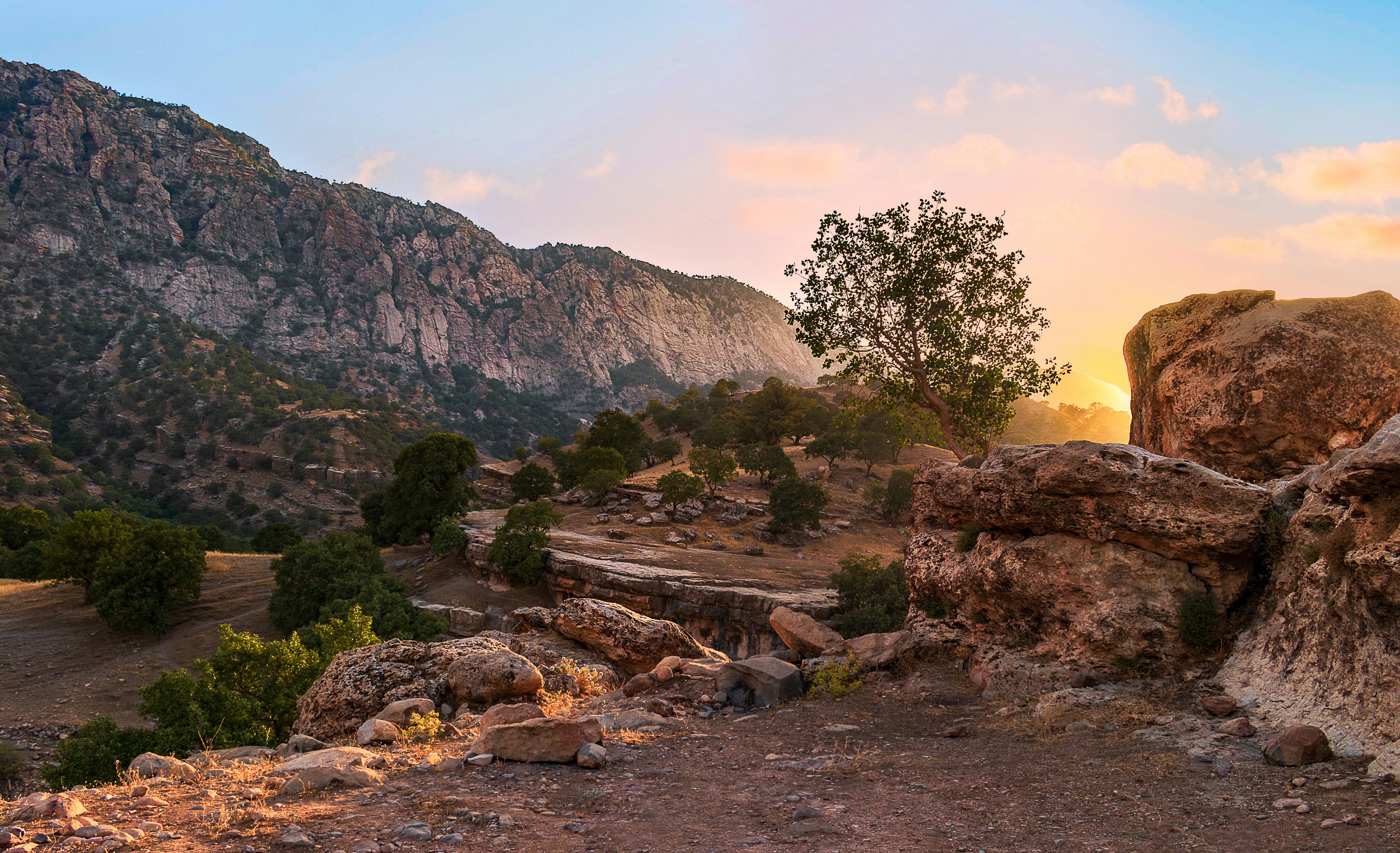 Photo by mostafafadaei