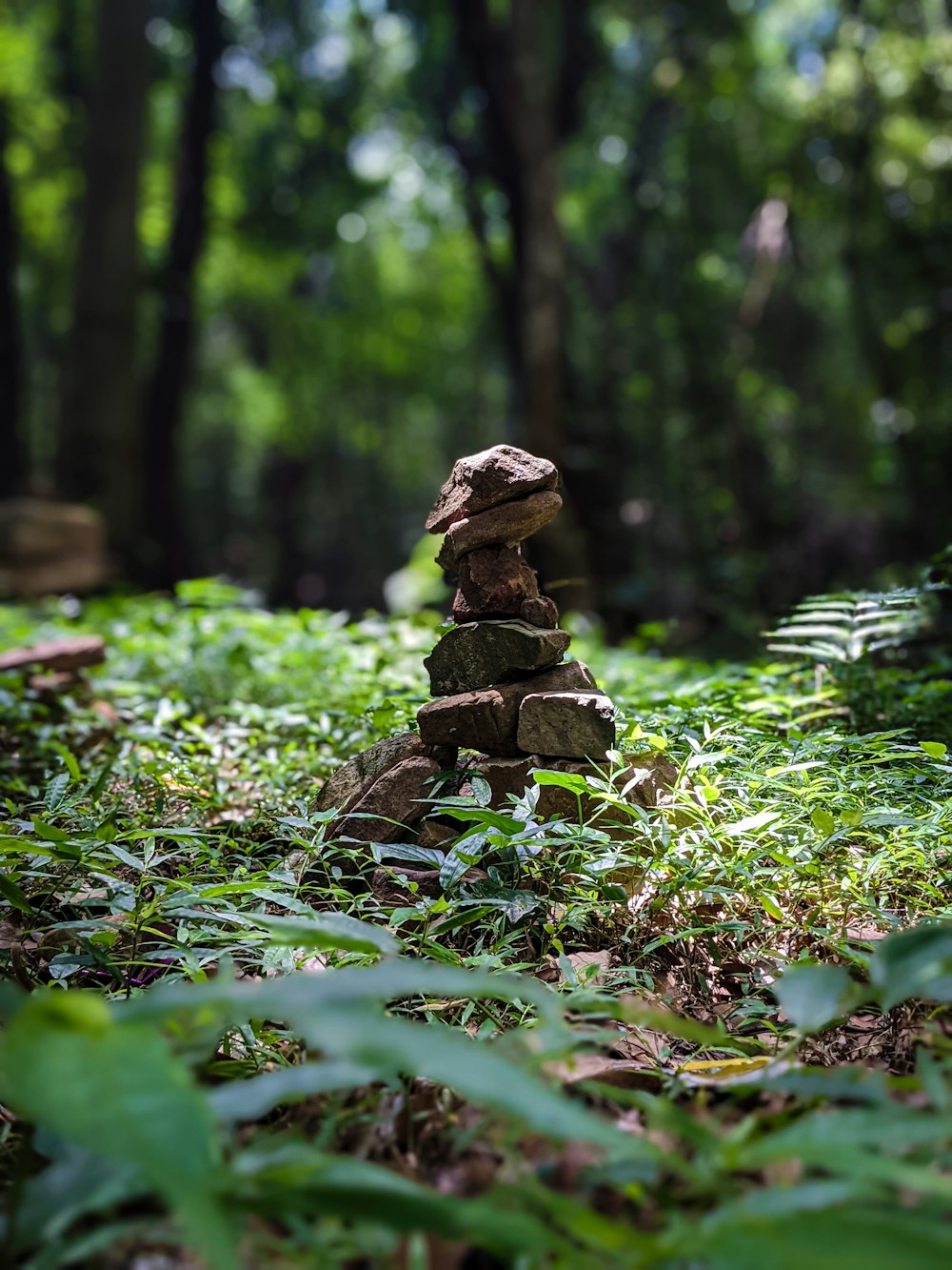 a stack of rocks in a forest