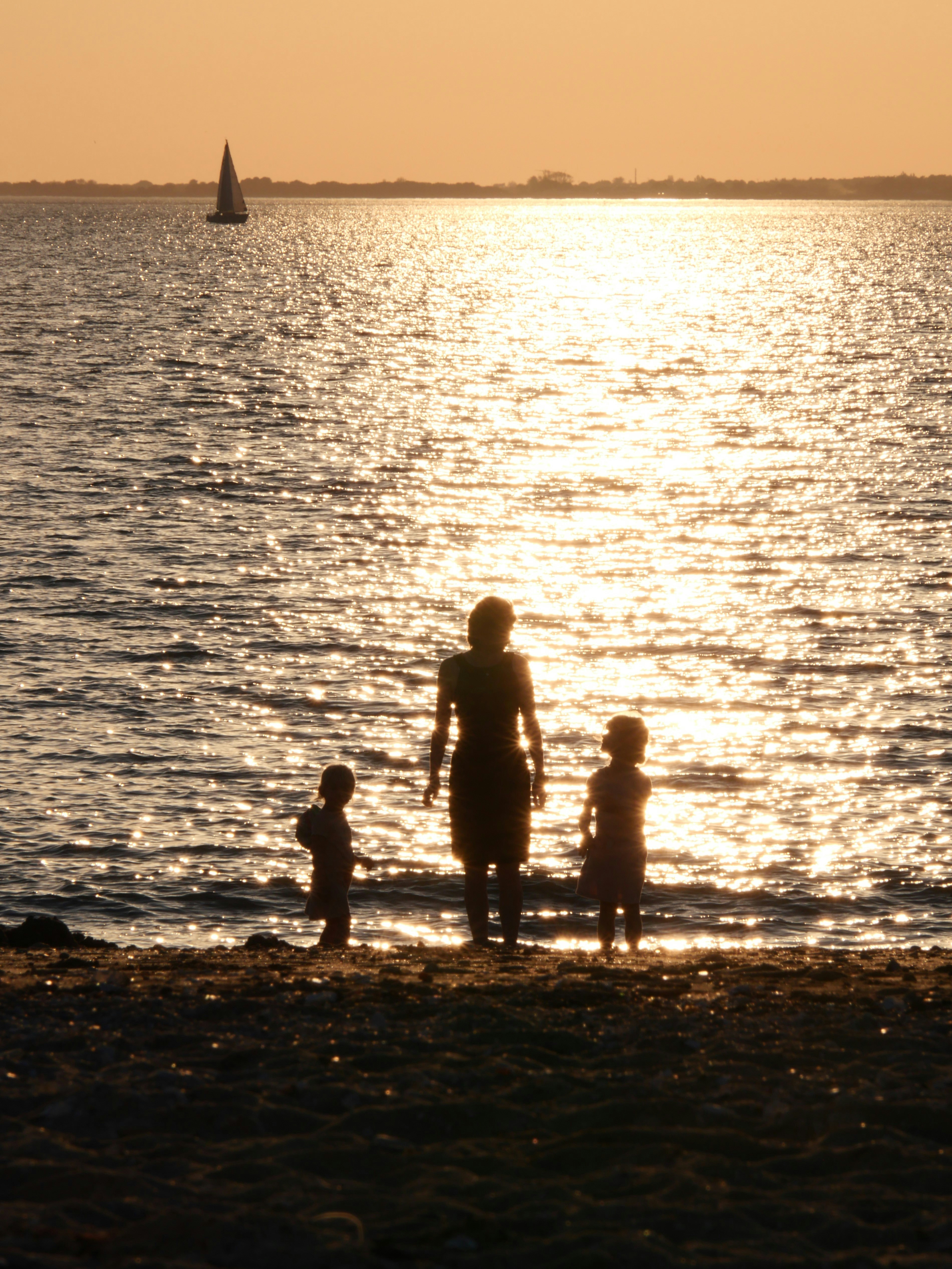 Photo by nimbus_vulpis