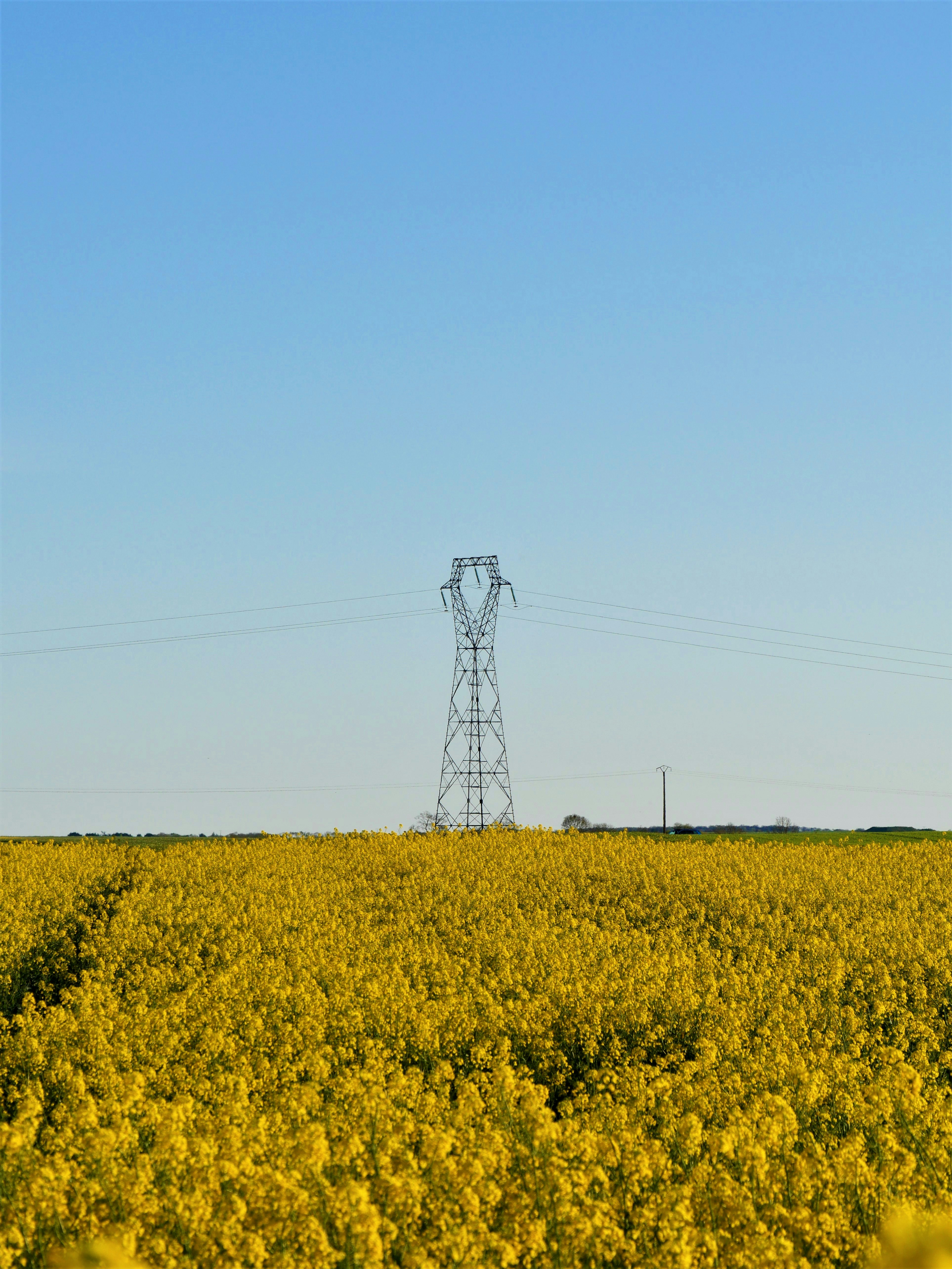 Photo by nimbus_vulpis