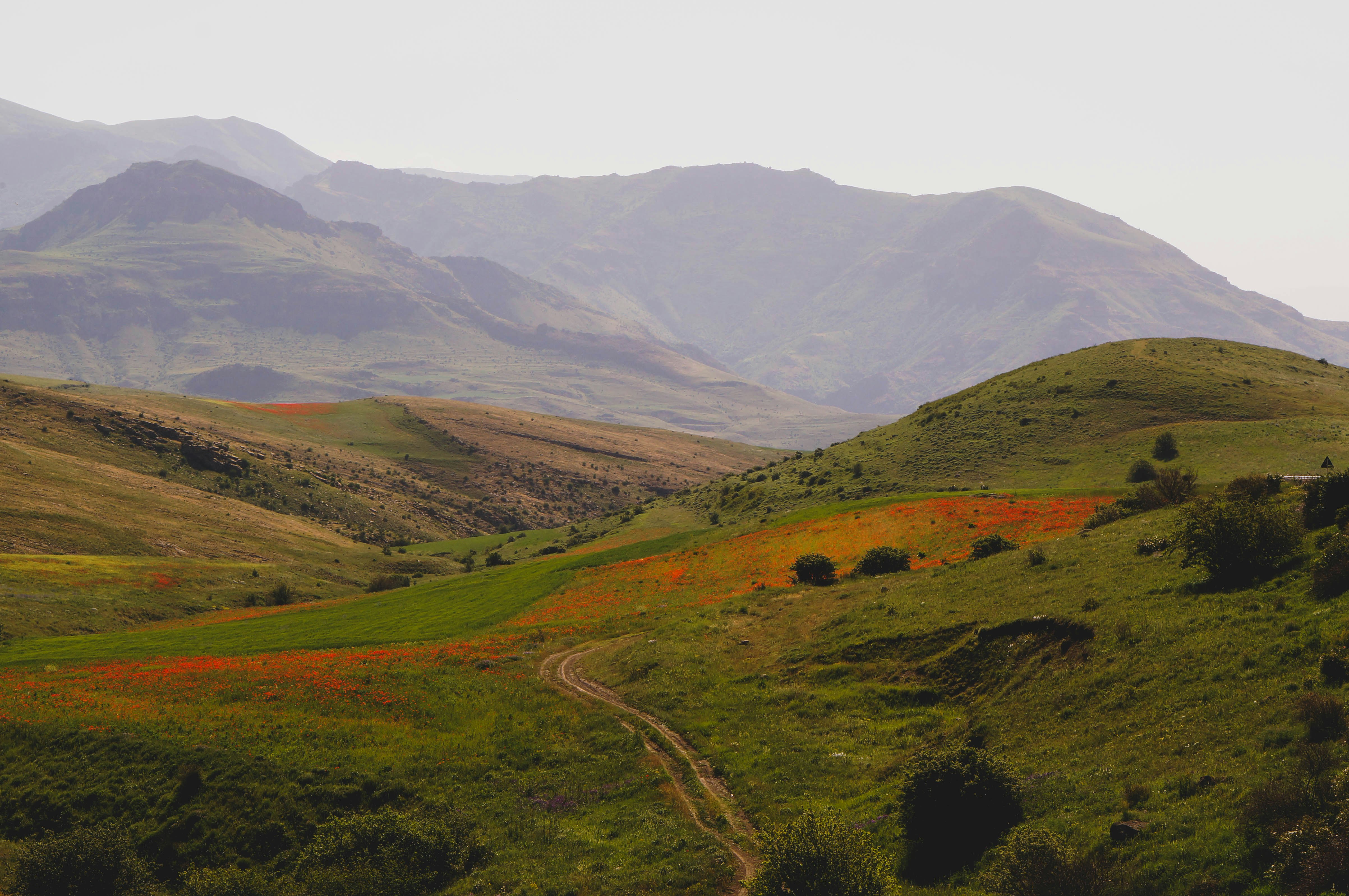 Photo by evgeeeenchik