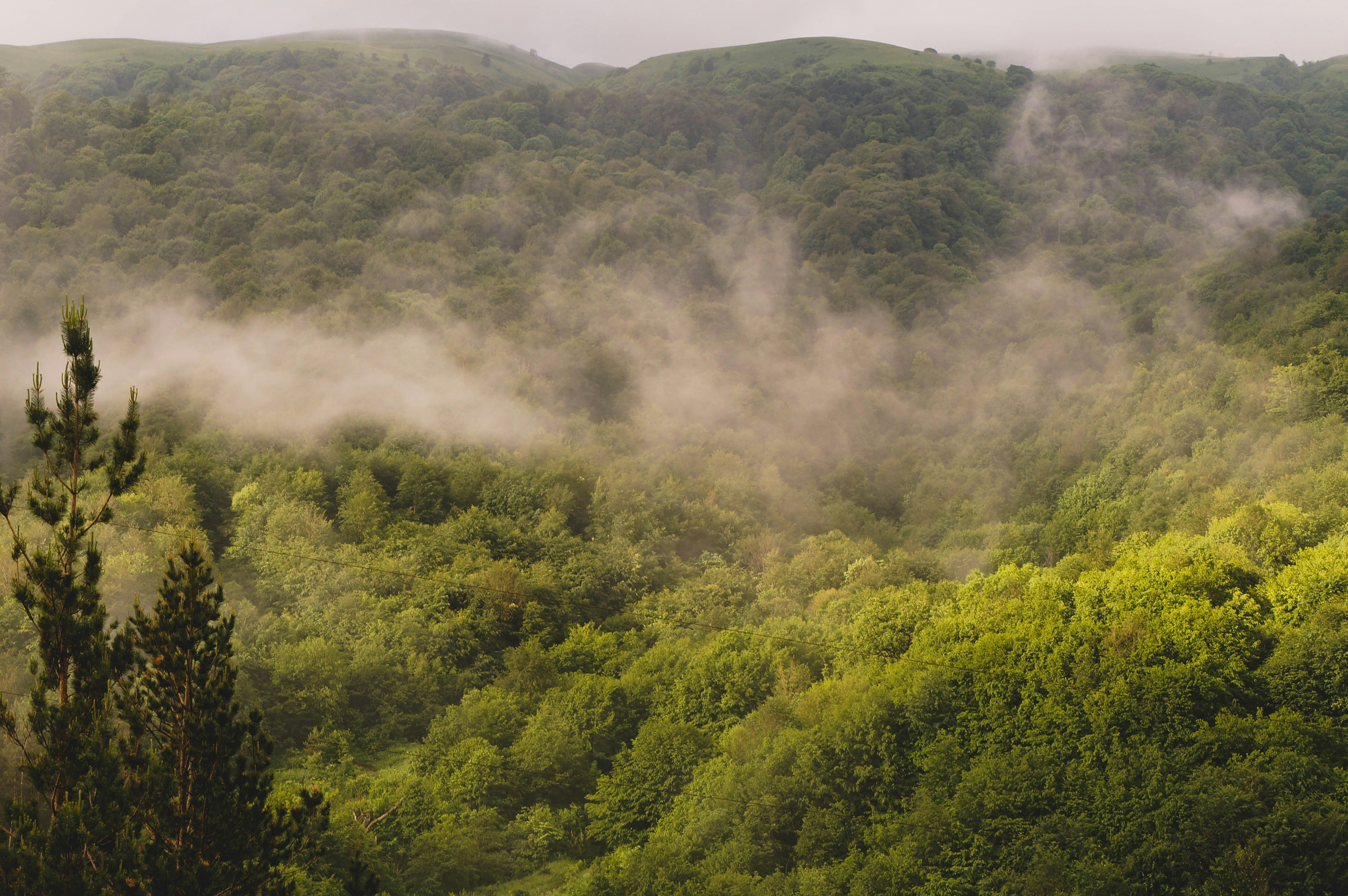 Photo by evgeeeenchik