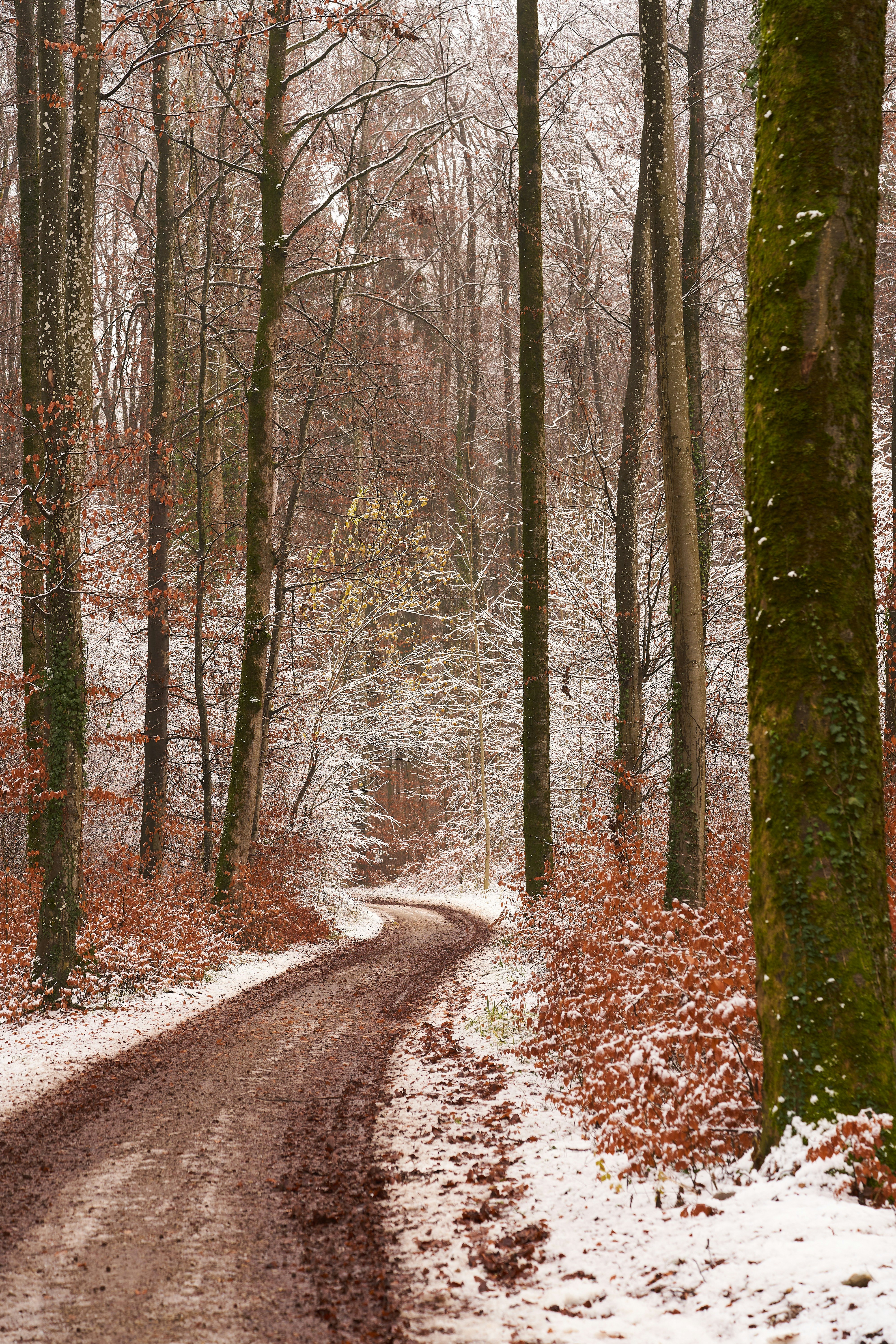 Photo by wolfgang_hasselmann