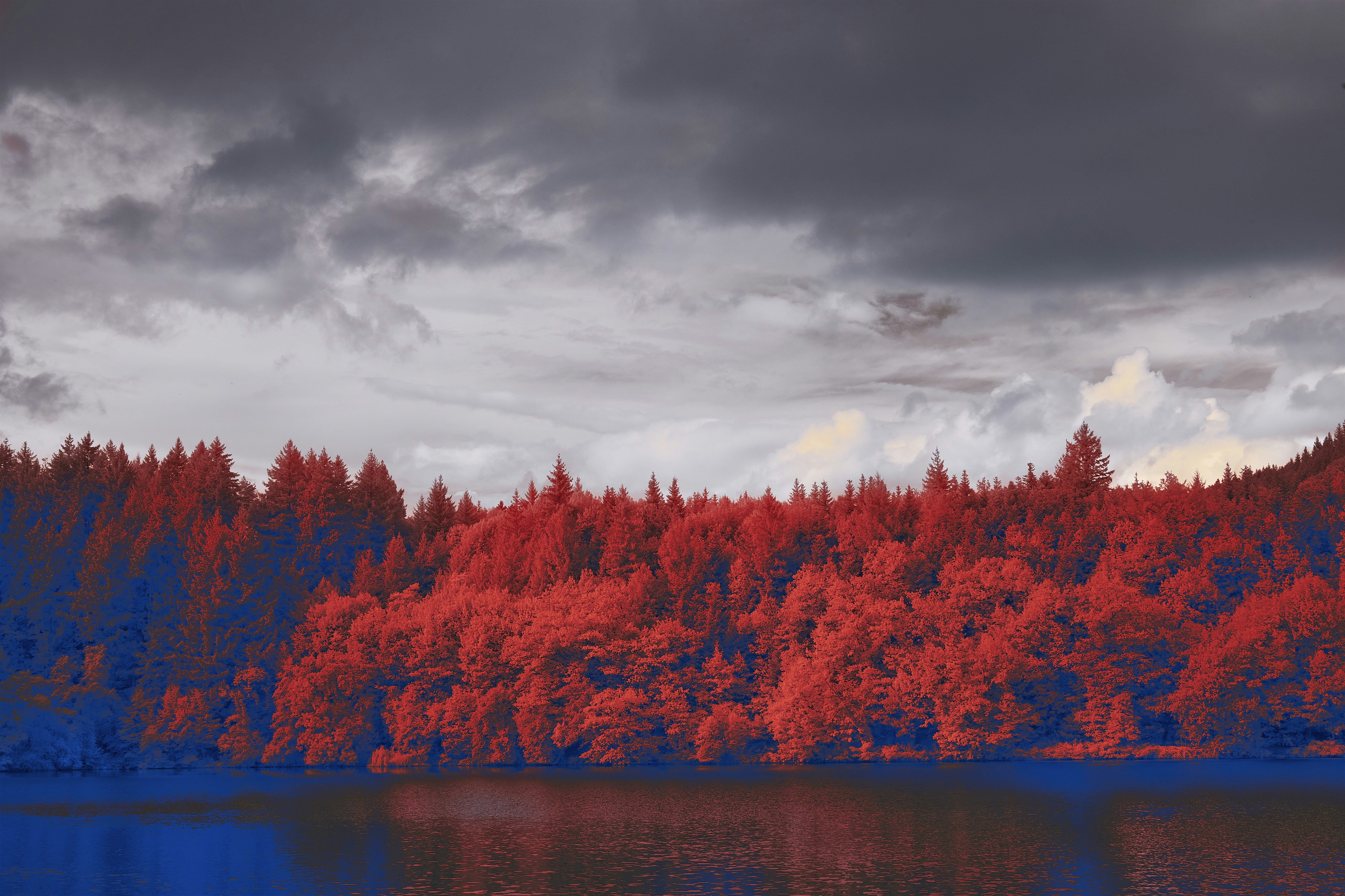 Photo by wolfgang_hasselmann