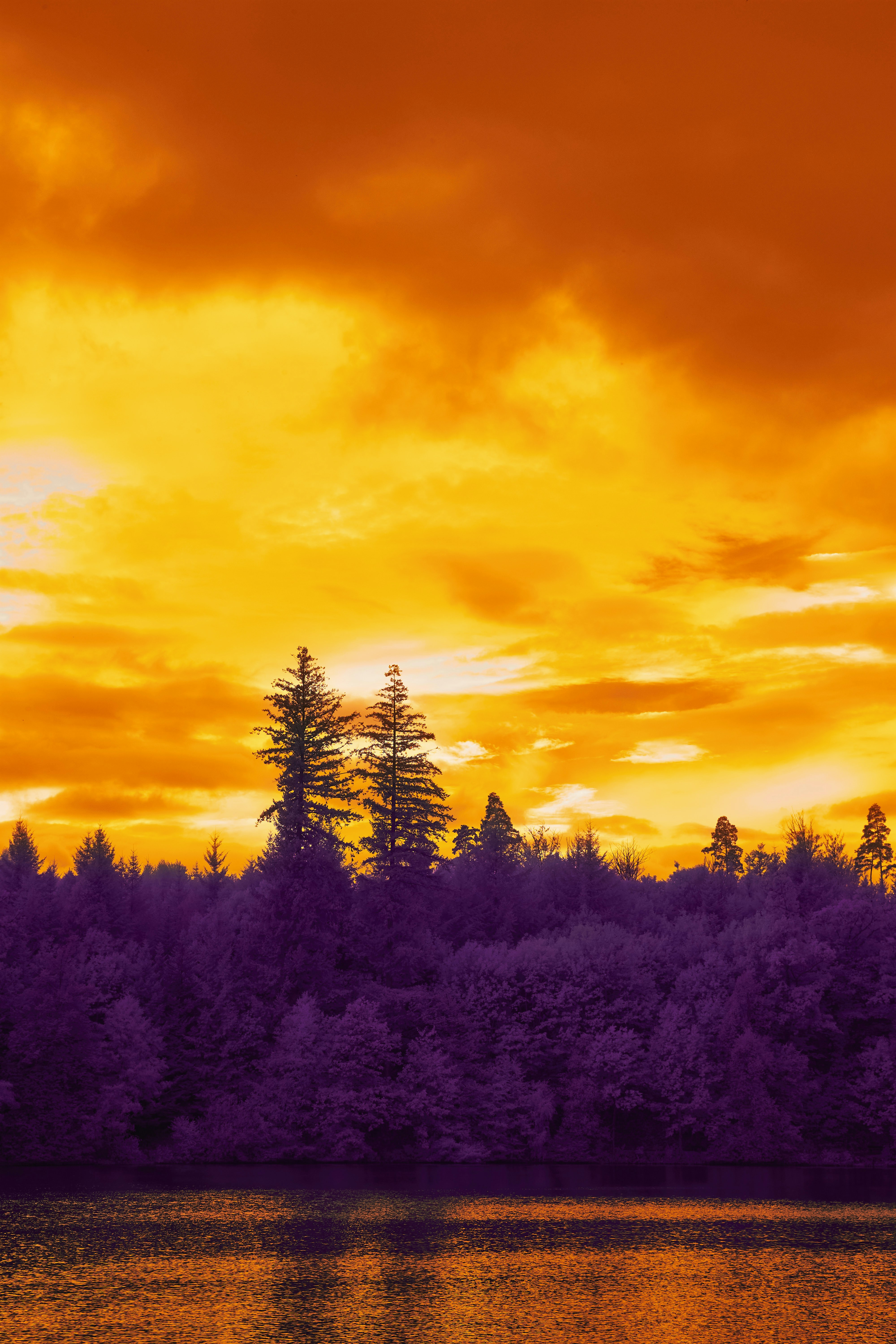 Photo by wolfgang_hasselmann