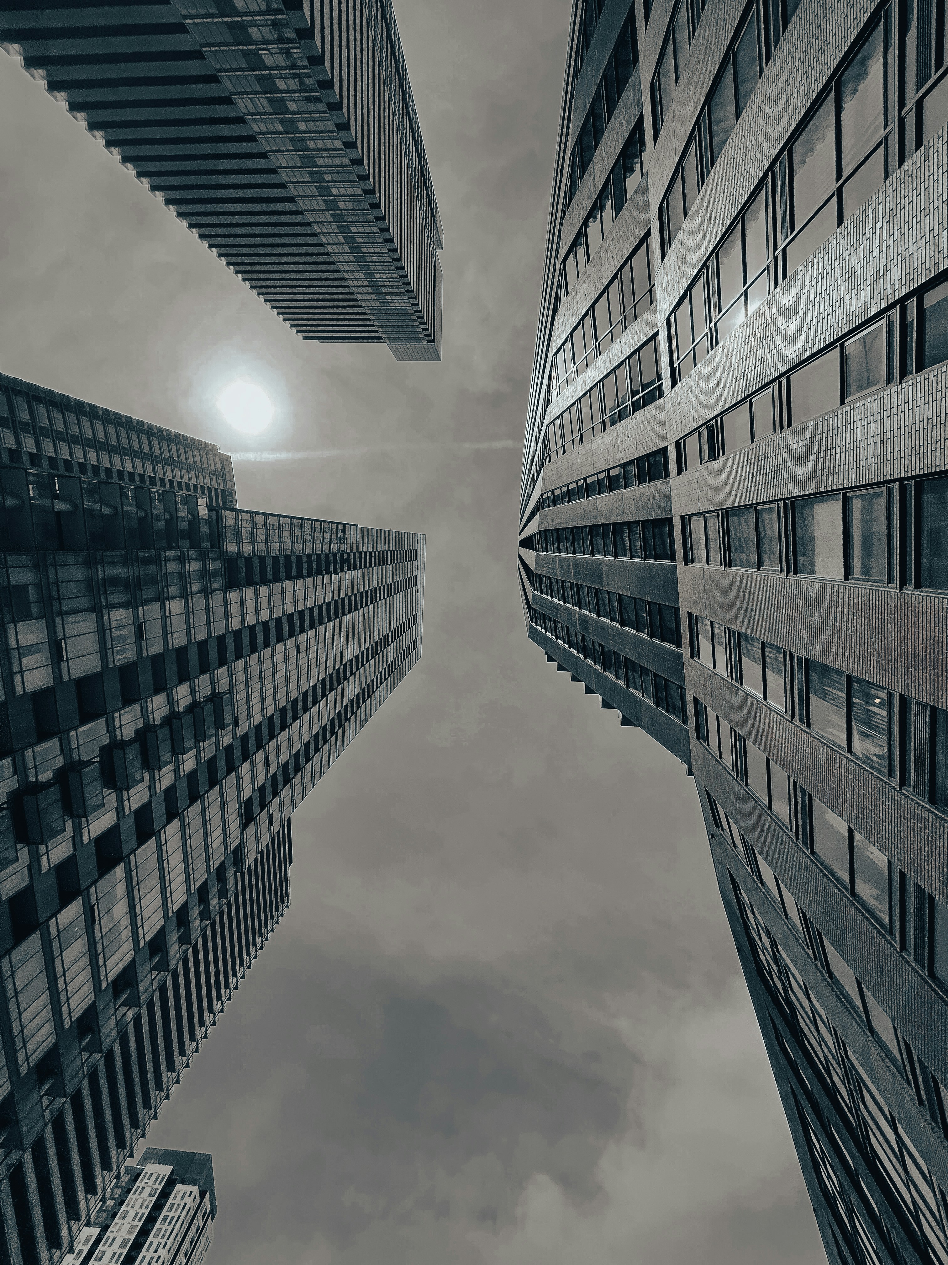 Photo by davirezende