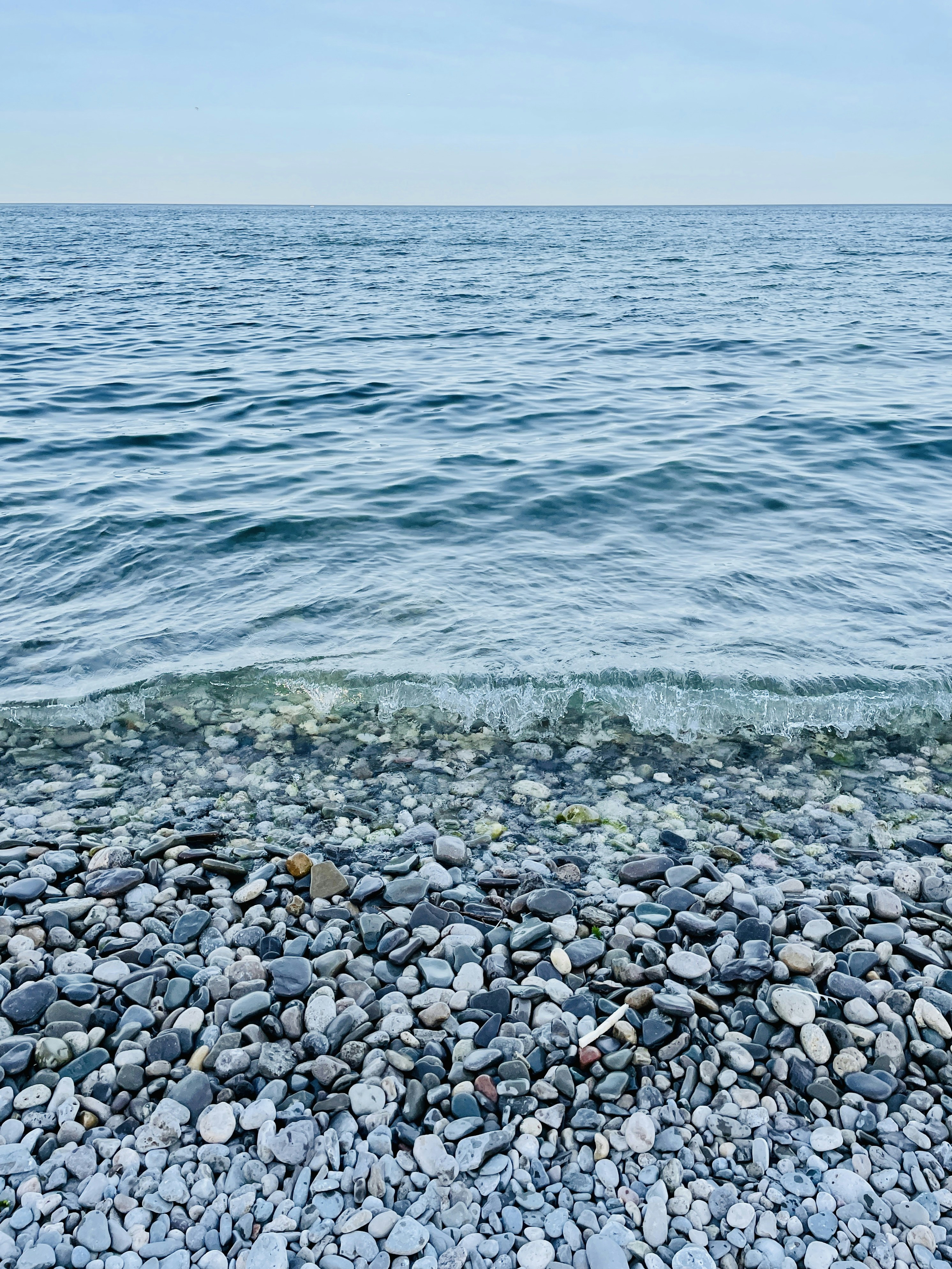 Photo by davirezende