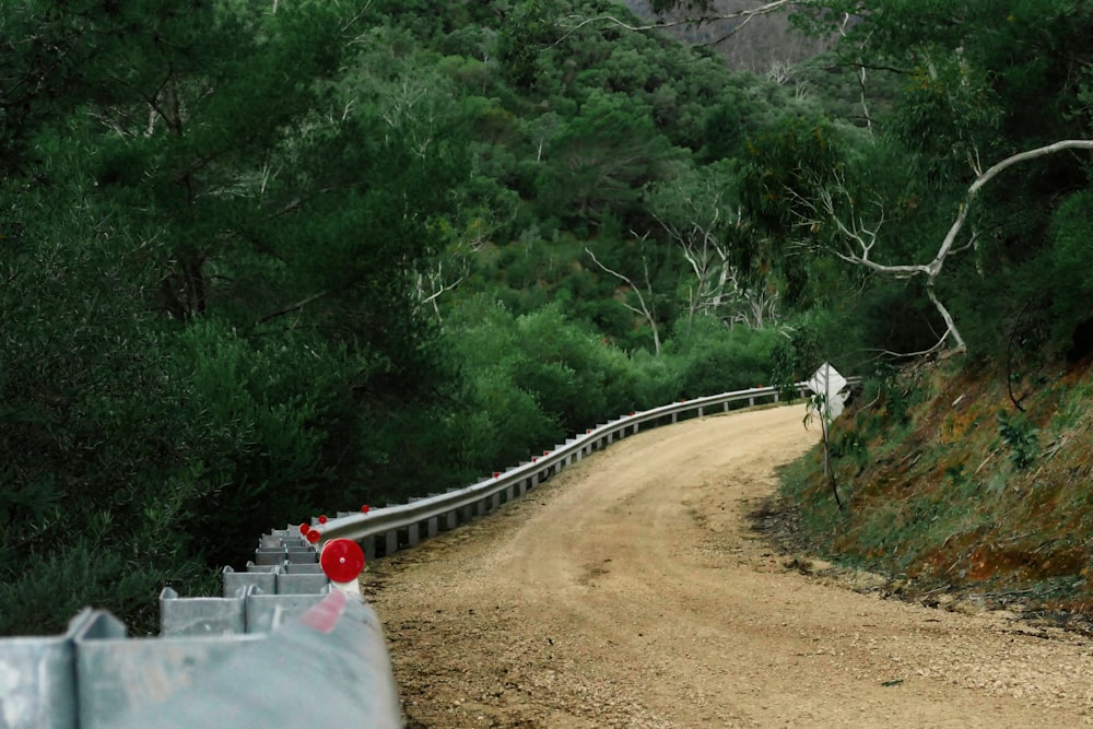 a road with trees on the side