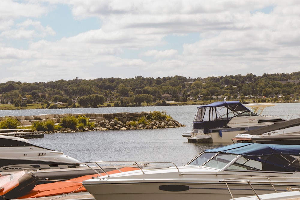 boats on the water