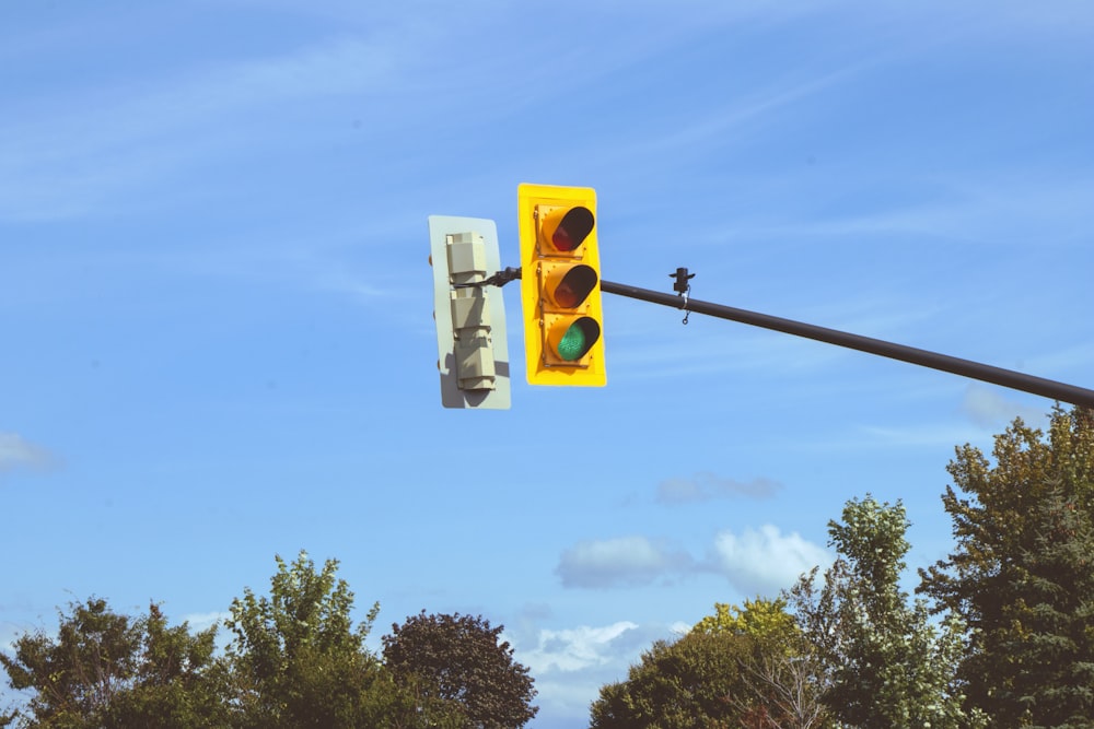 a traffic light with a bird on it