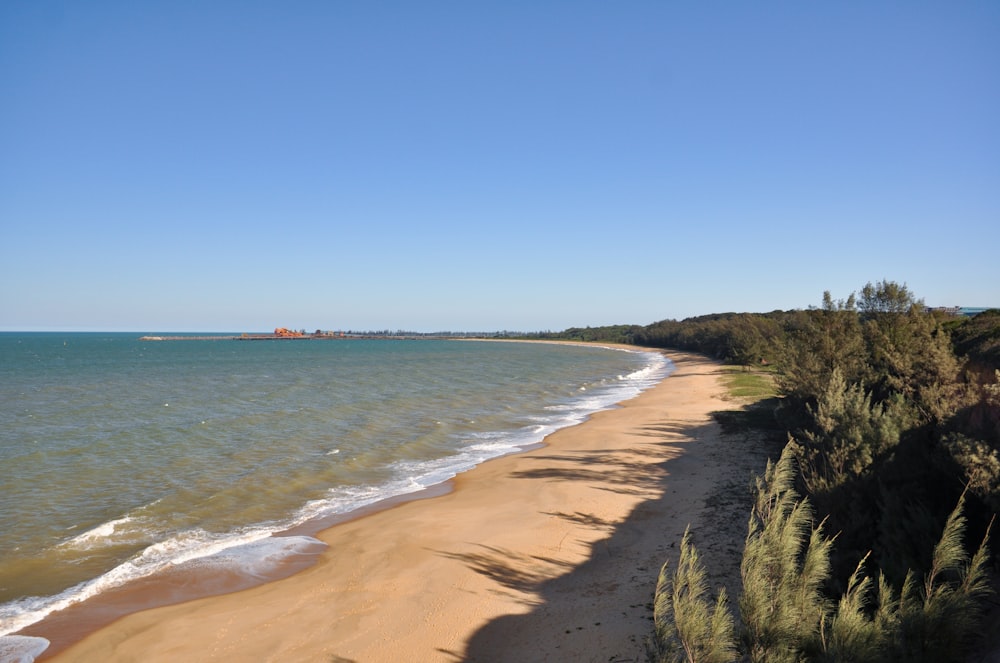 a sandy beach with trees and water