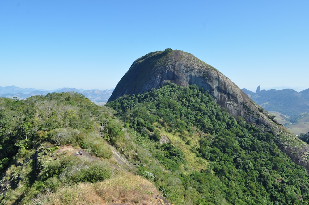 a mountain with trees and a road