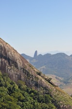 a mountain with trees on it