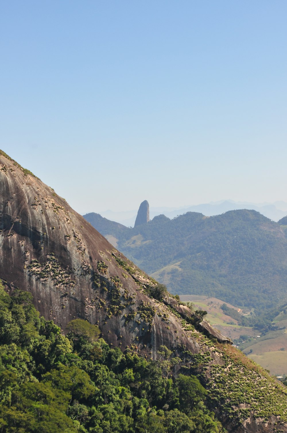 a mountain with trees on it