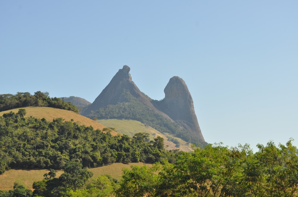 a group of trees and mountains