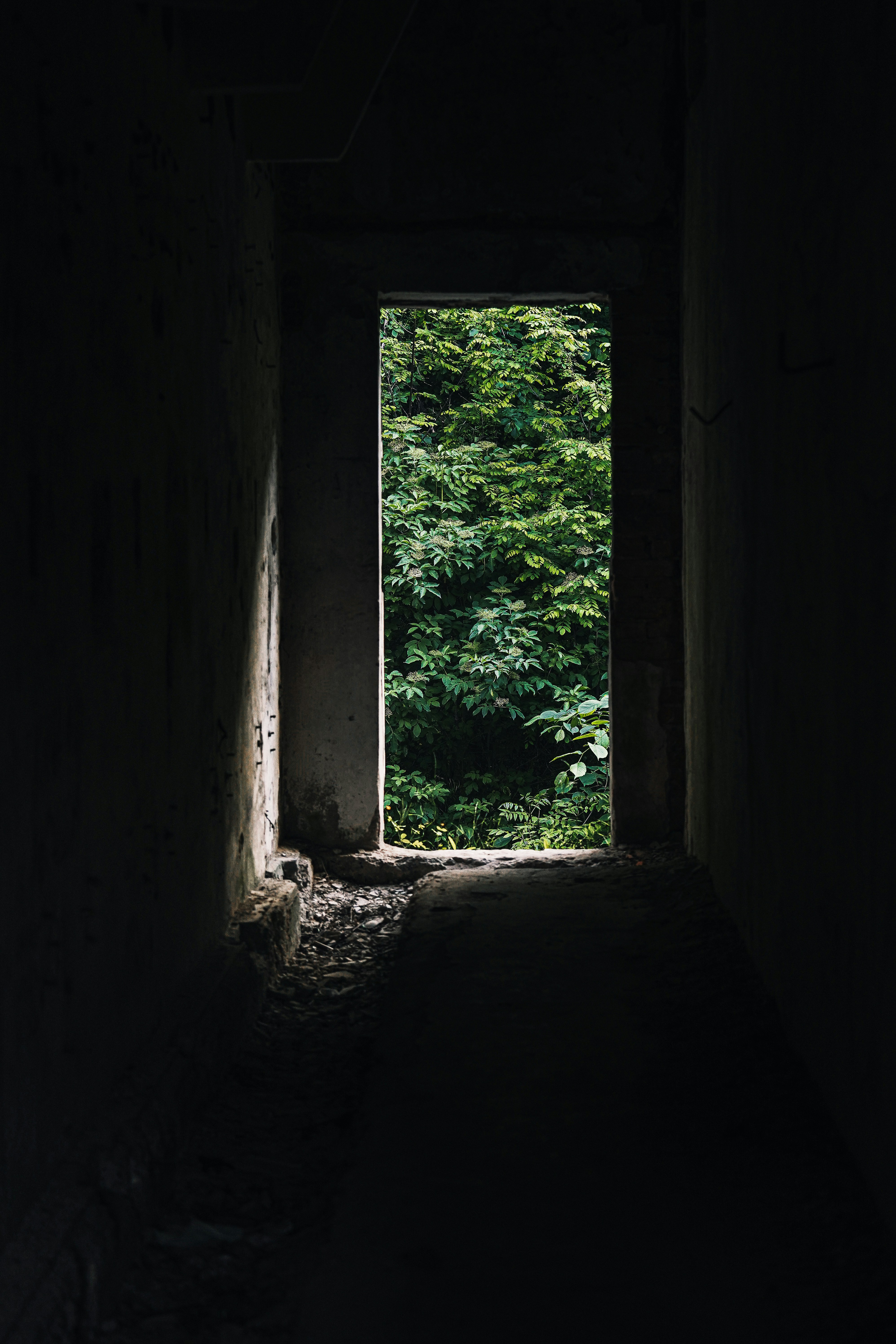 Photo by maksym_tymchyk