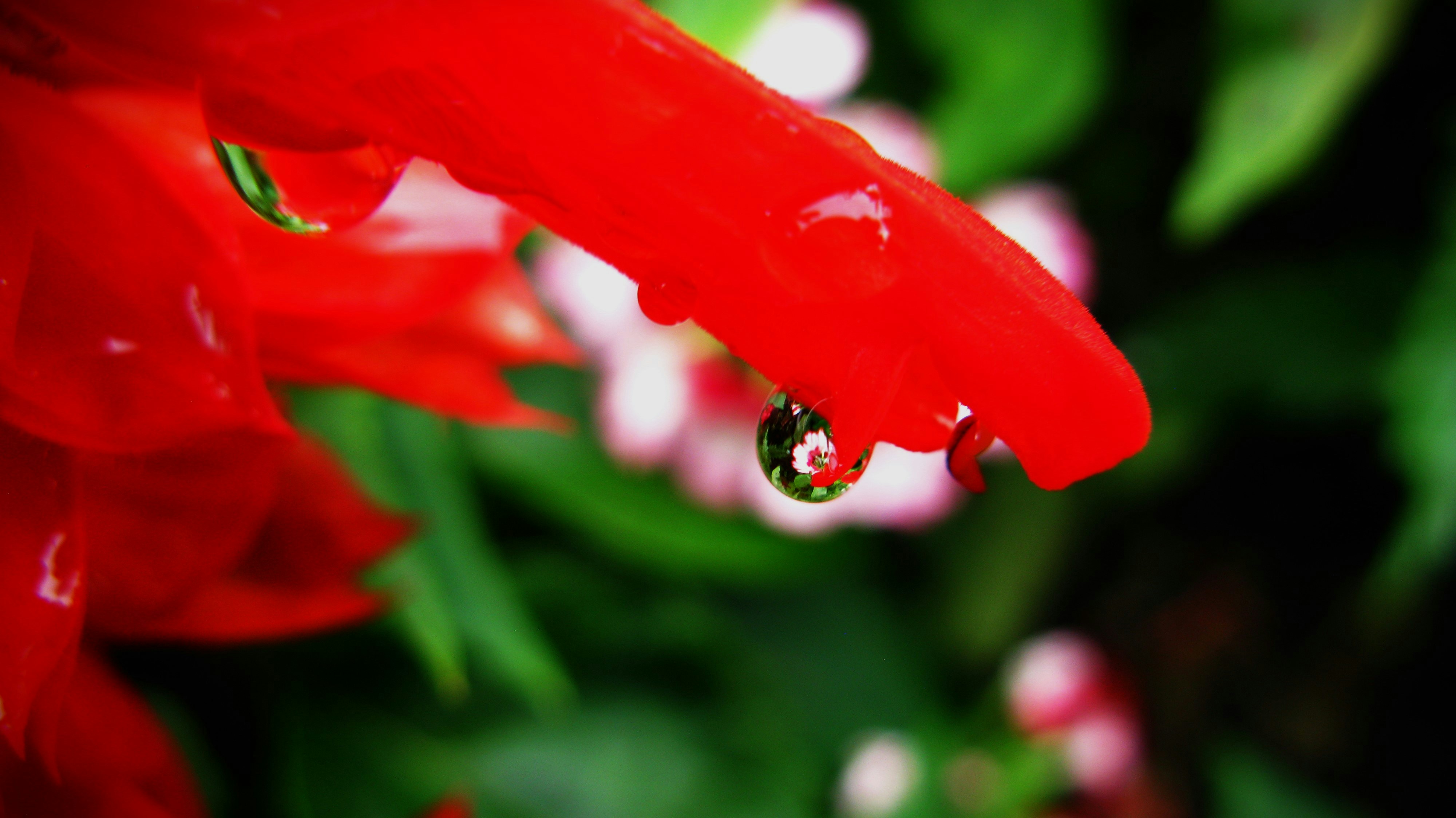 Photo by tom_smeeton