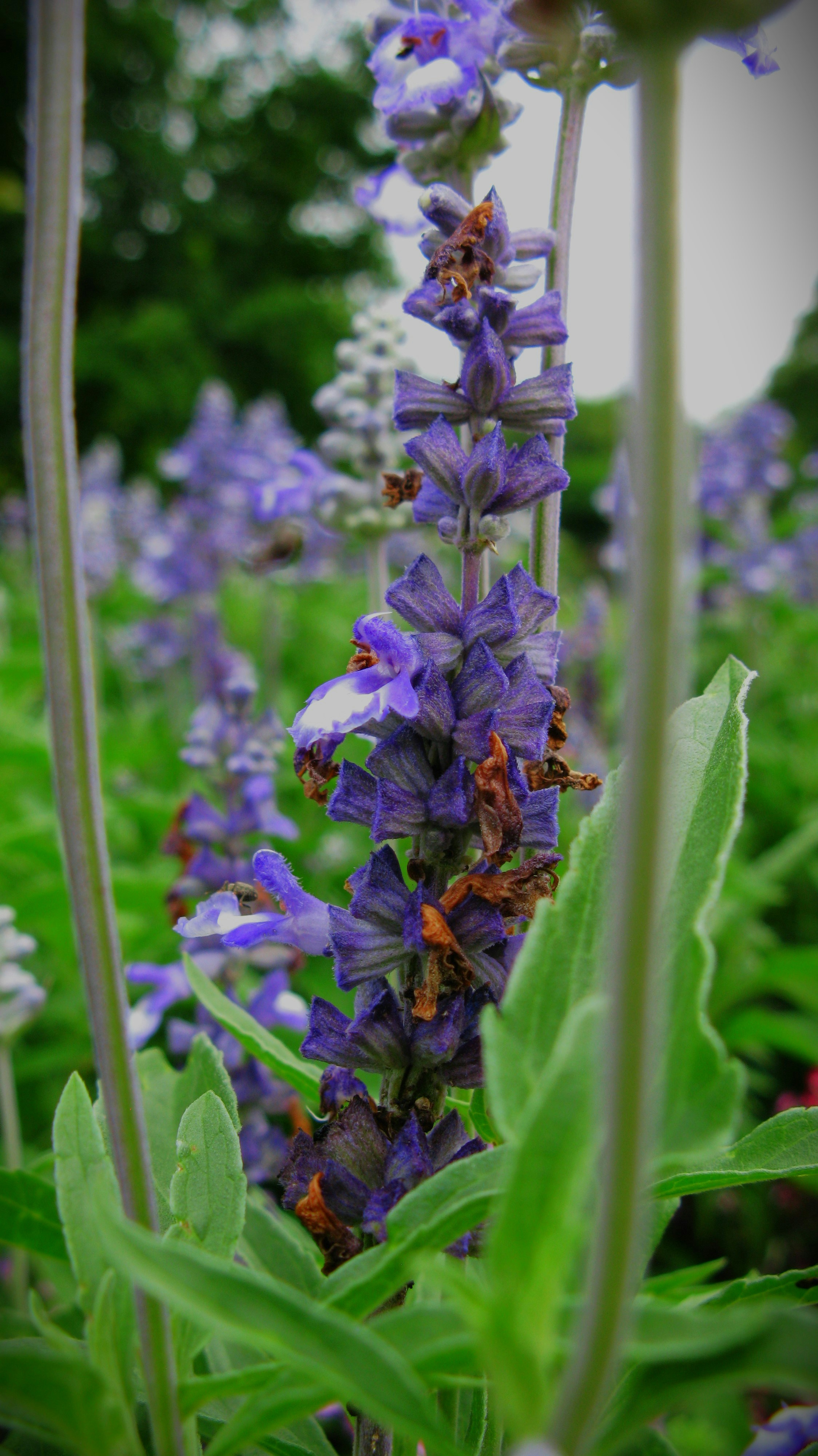 Photo by tom_smeeton