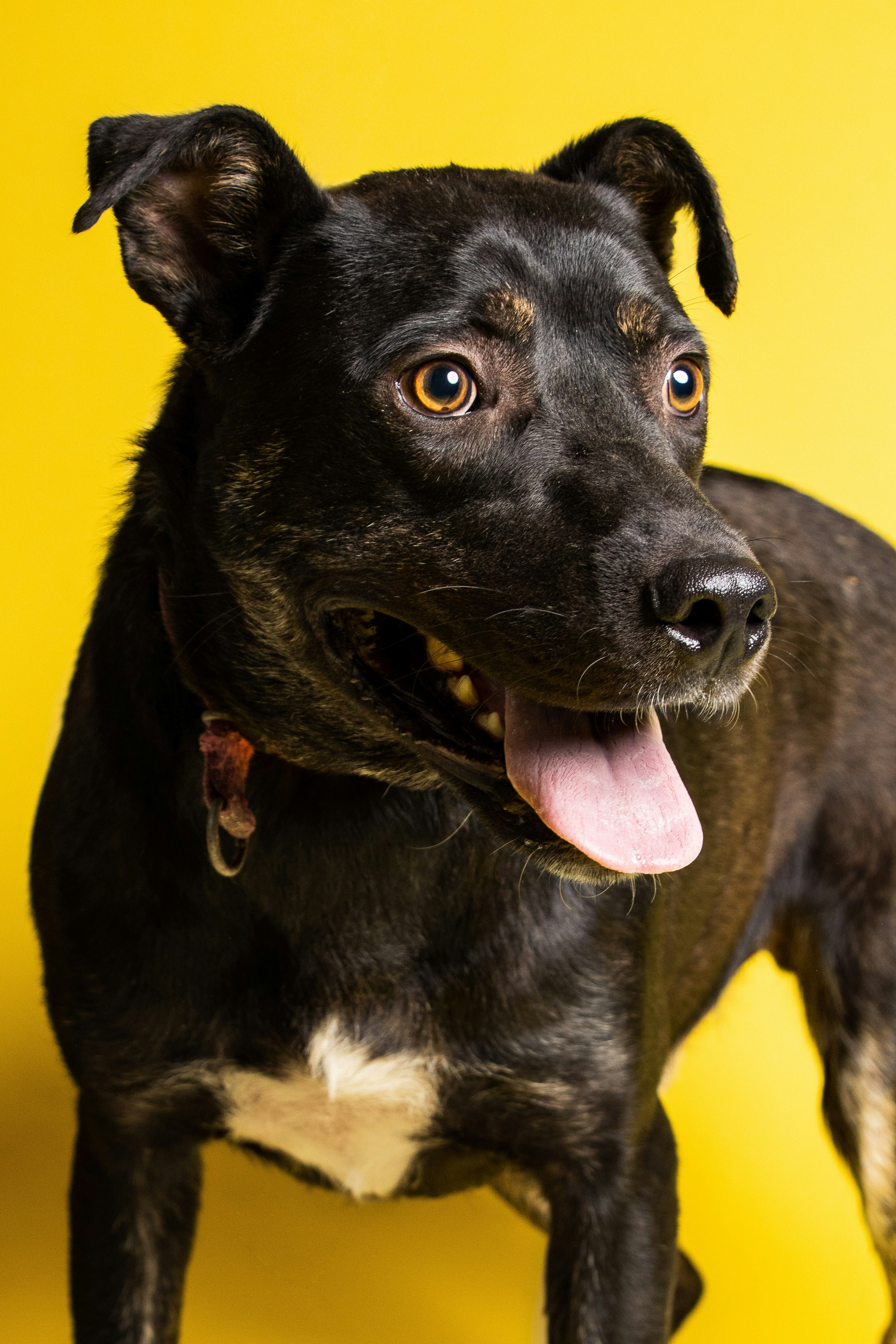 Photo by escape_your_mind