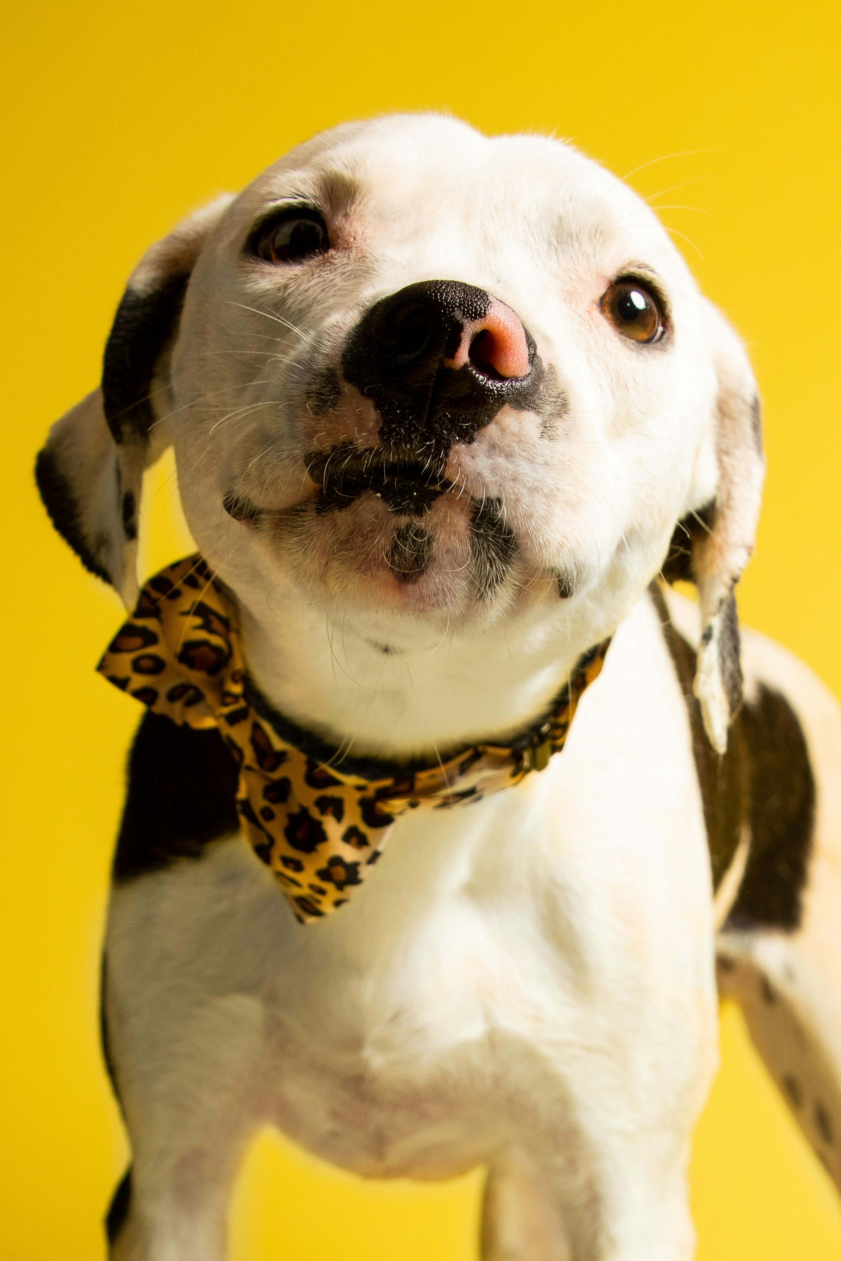 Photo by escape_your_mind