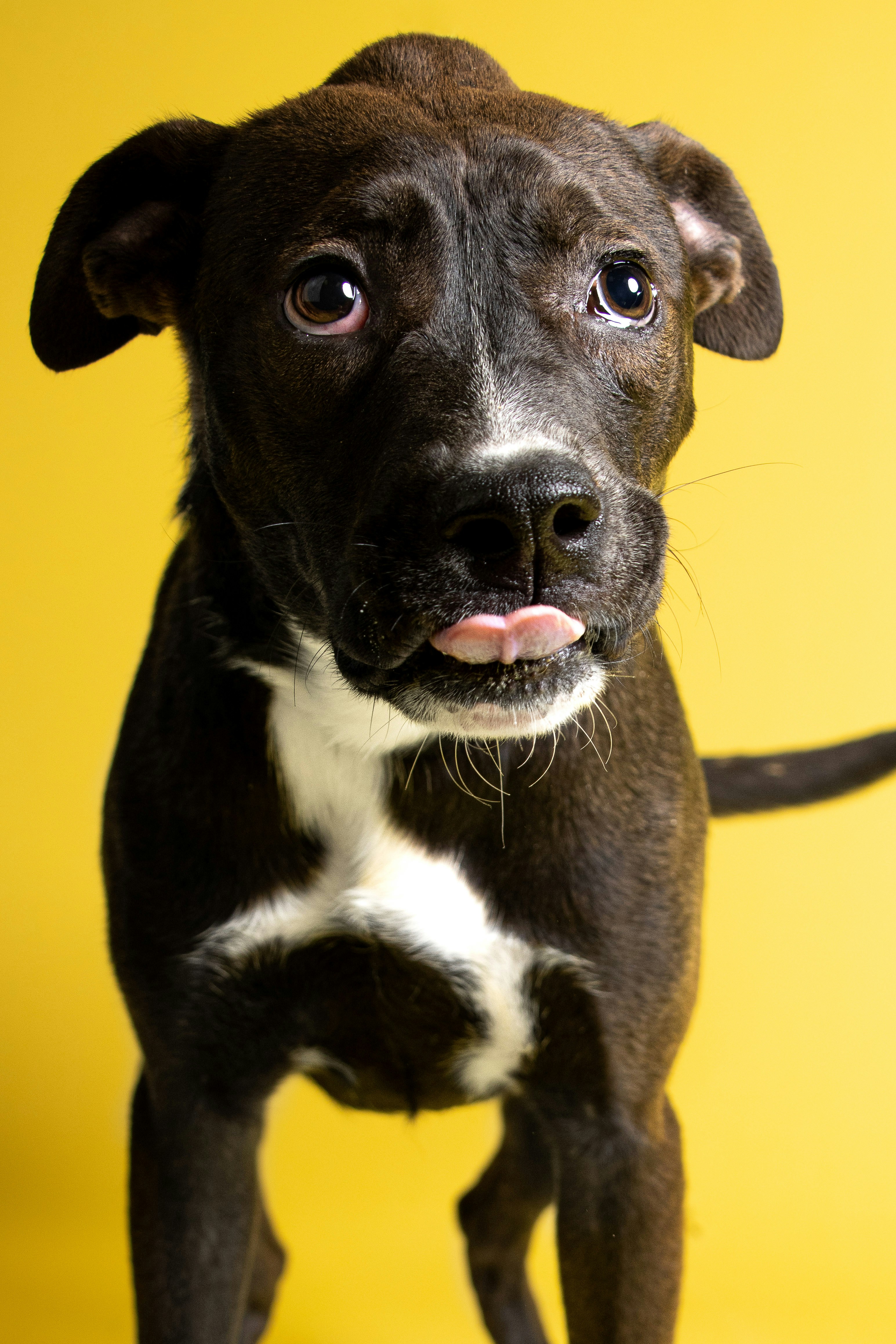 Photo by escape_your_mind