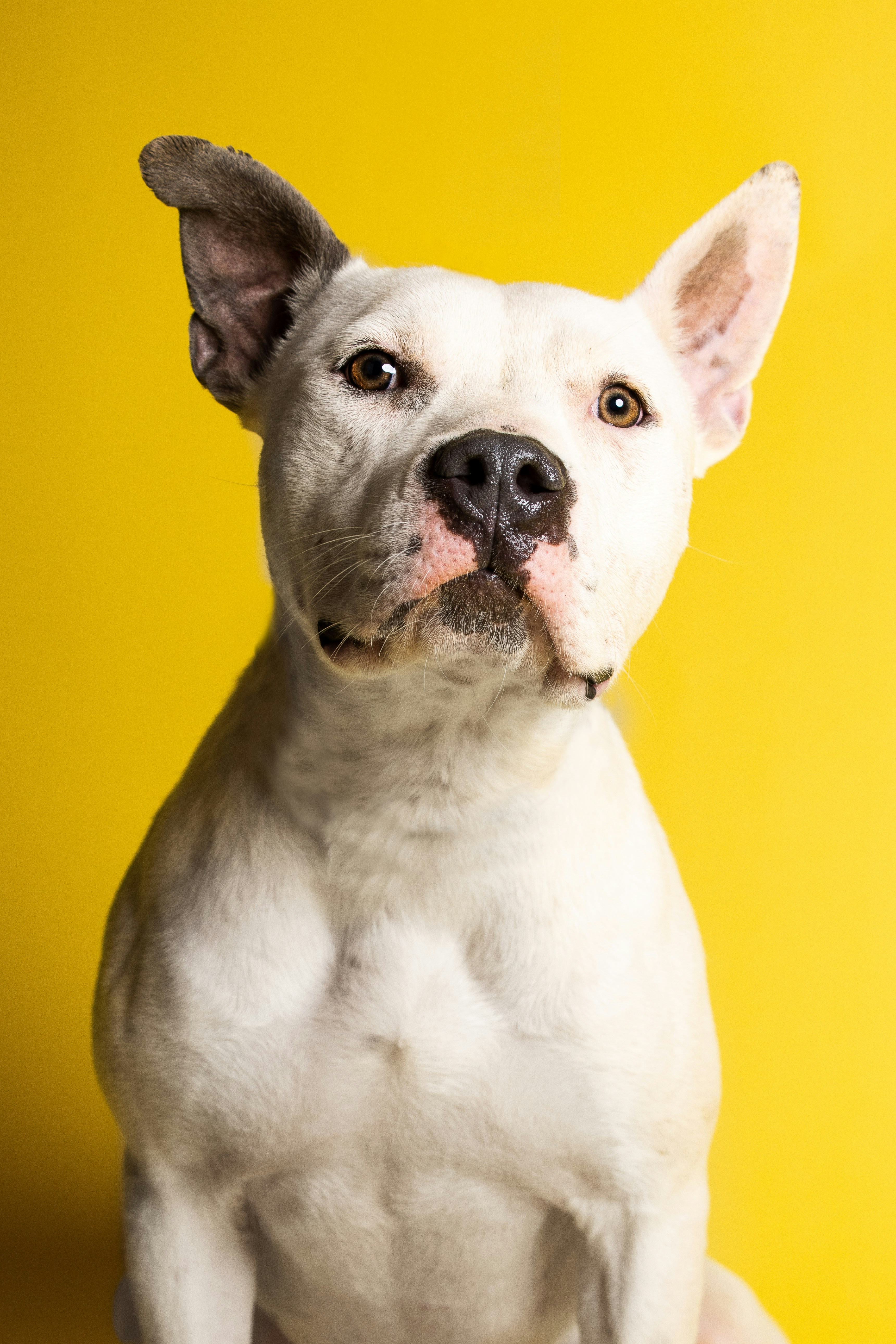 Photo by escape_your_mind