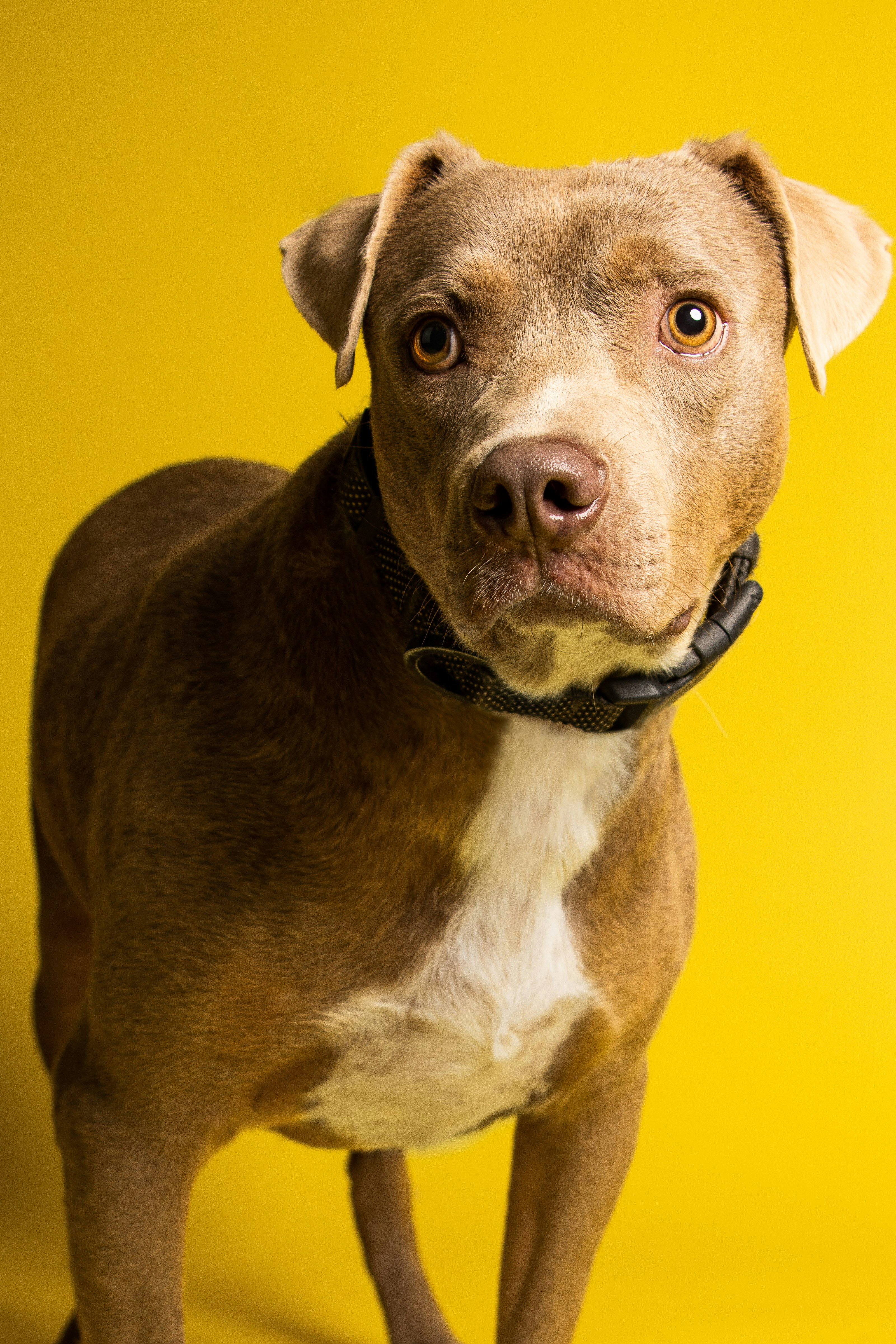 Photo by escape_your_mind