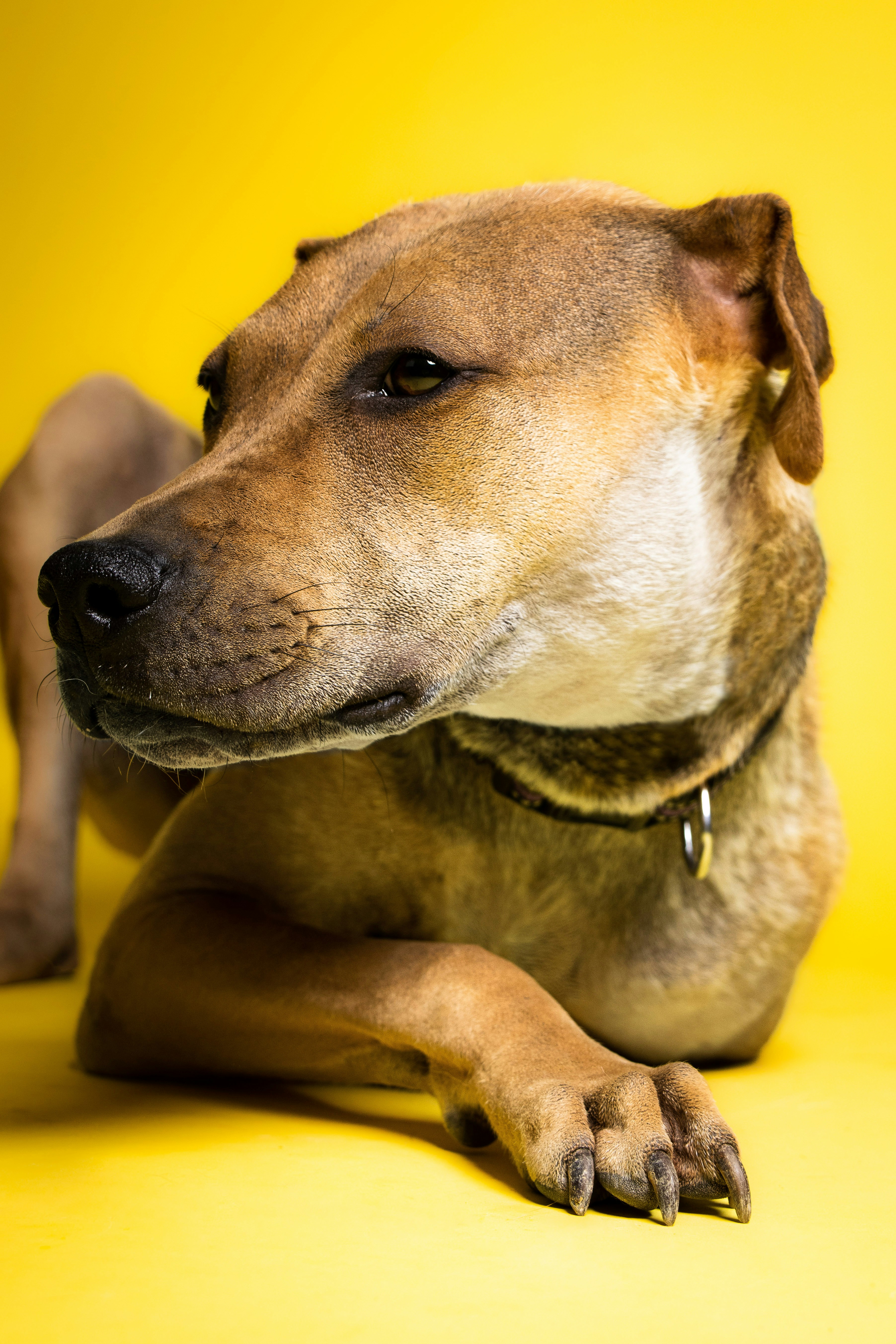 Photo by escape_your_mind