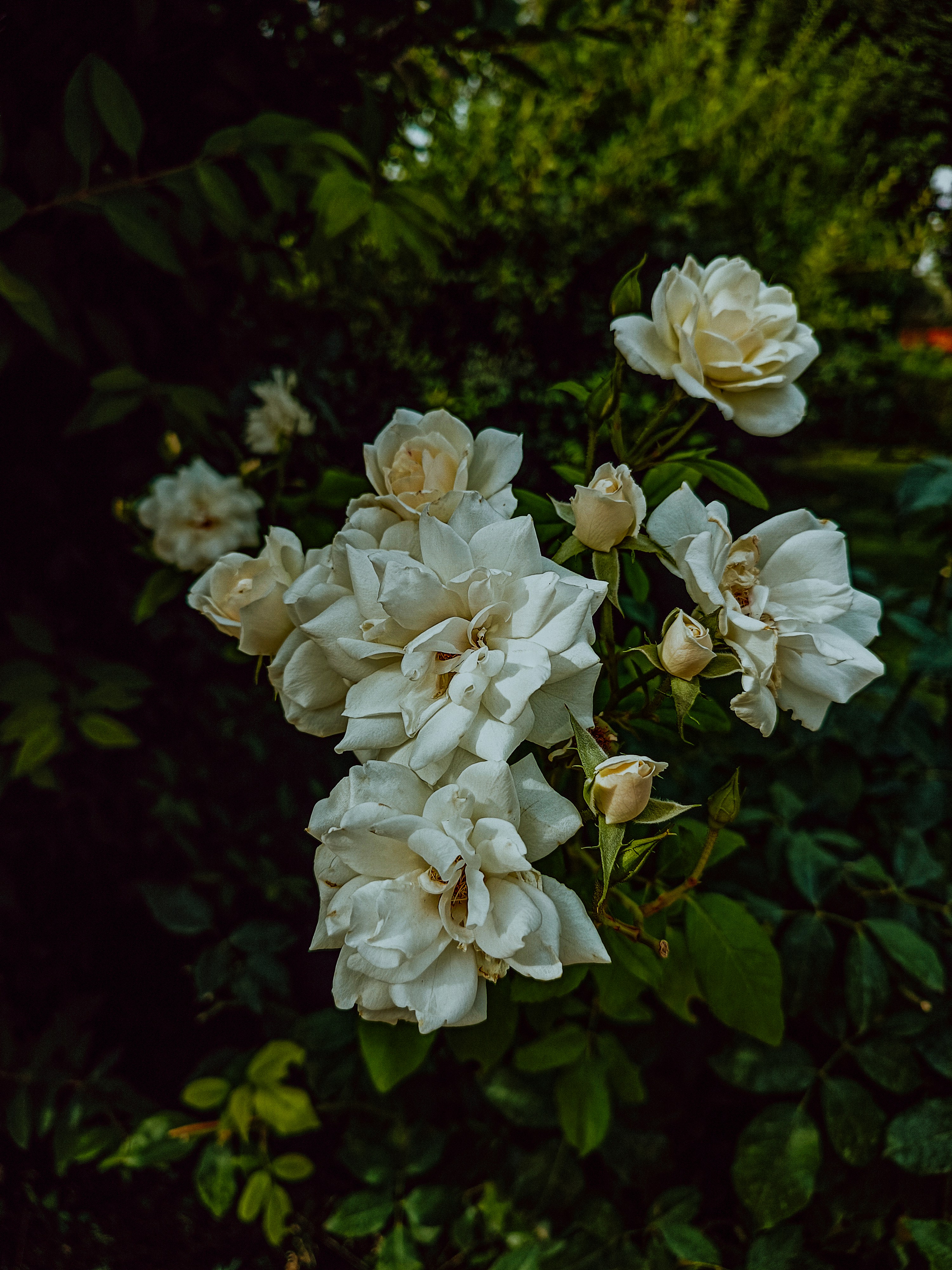 Photo by samanehrasoulzadeh