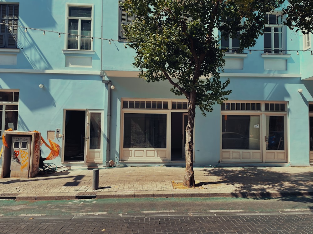 a tree in front of a building