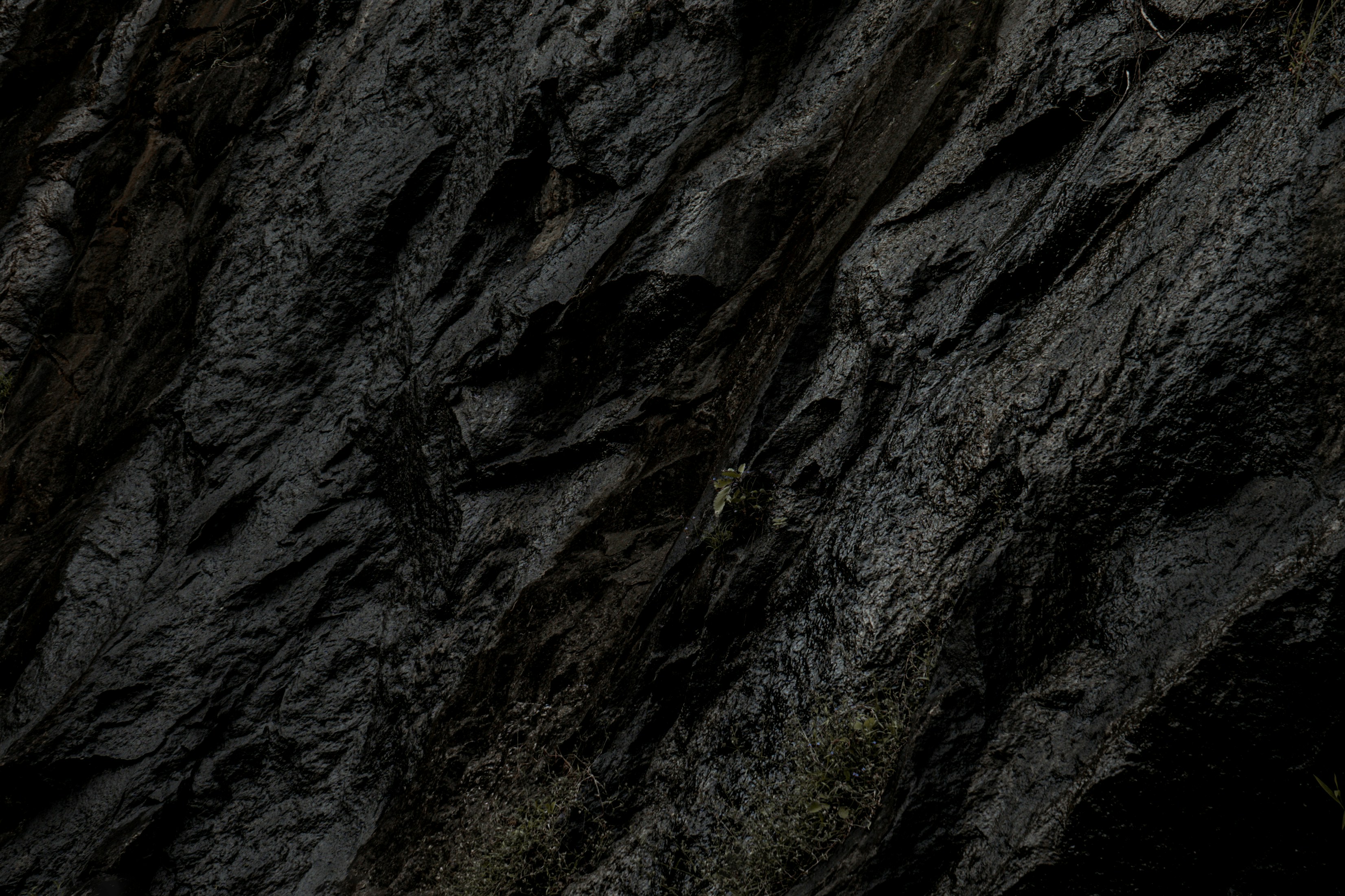 Photo by jeevasanthan_mk