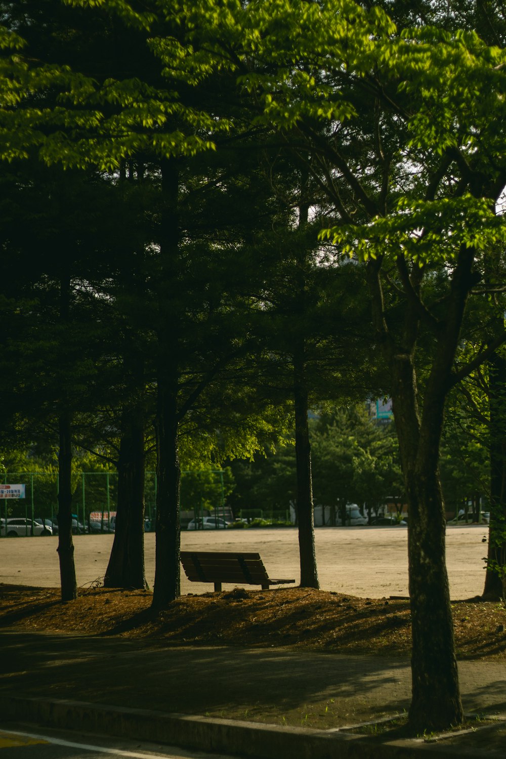 un banc de parc au milieu d’un parc