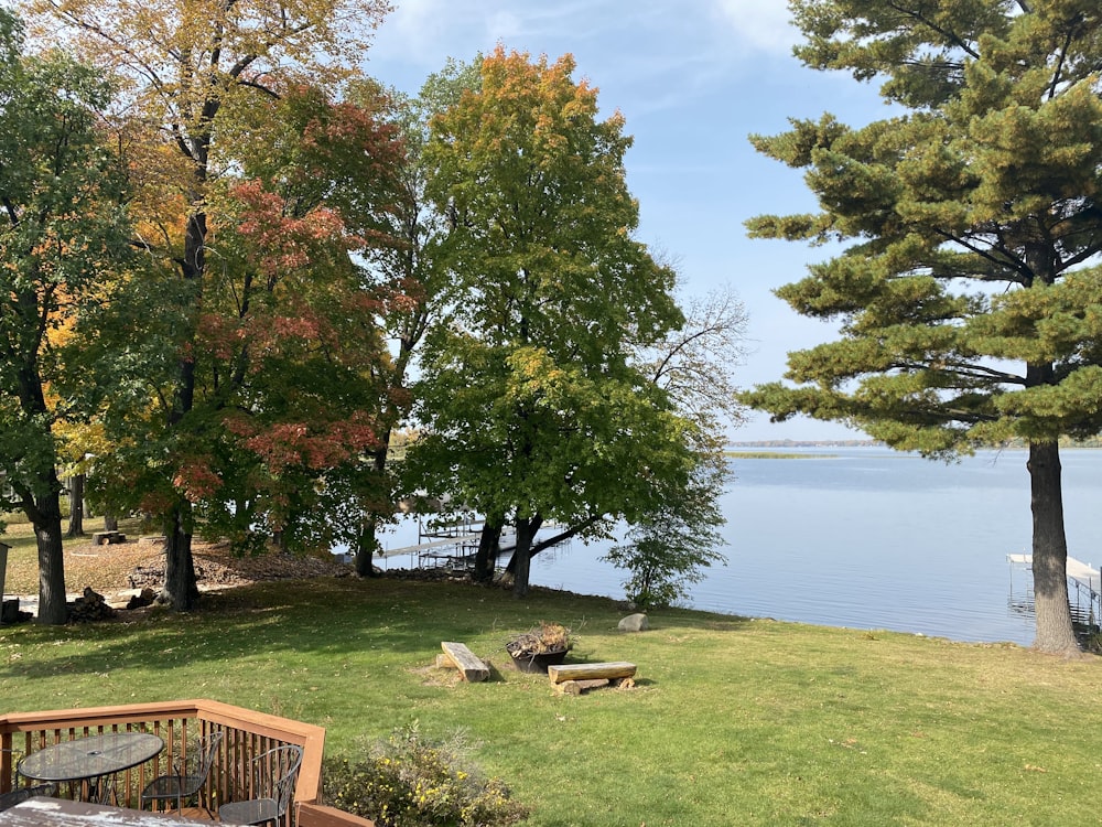 a grassy area with trees and a body of water in the background