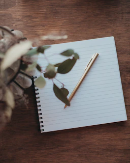 a pencil and a paper