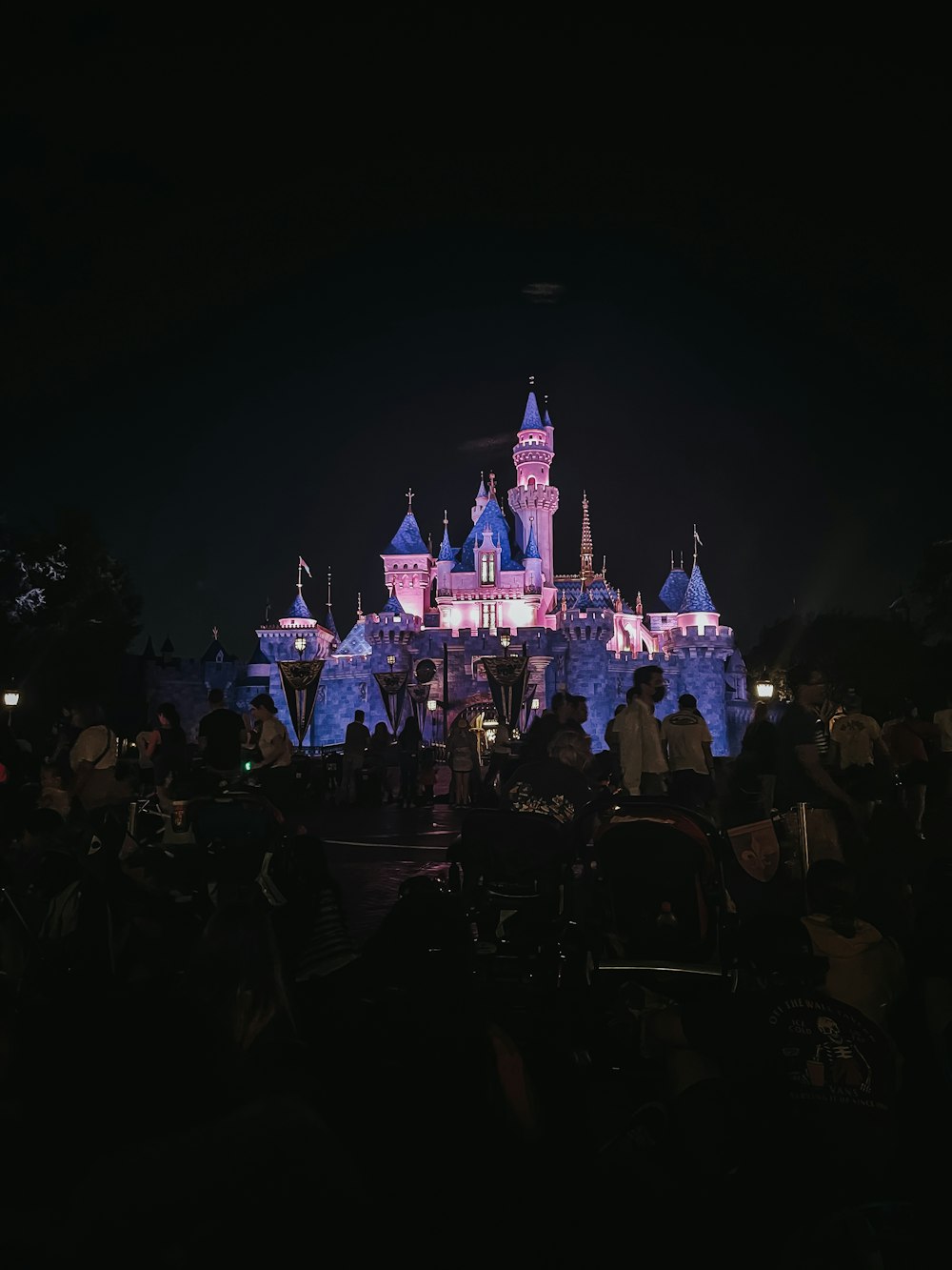 a castle lit up at night