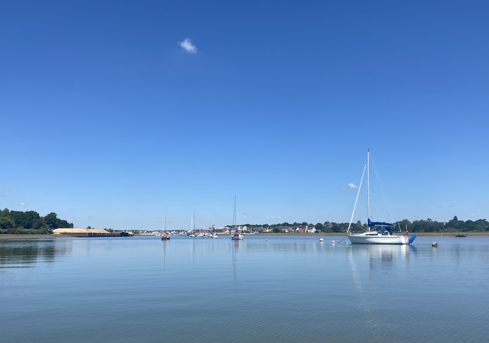 a group of boats sit in a harbor