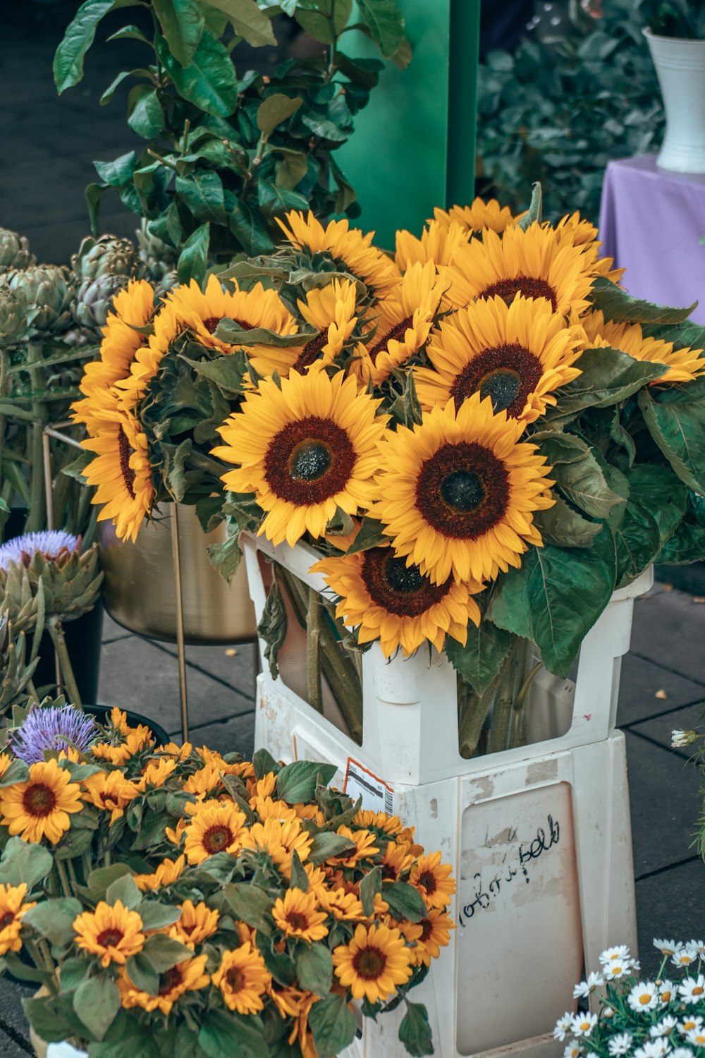 a vase of sunflowers