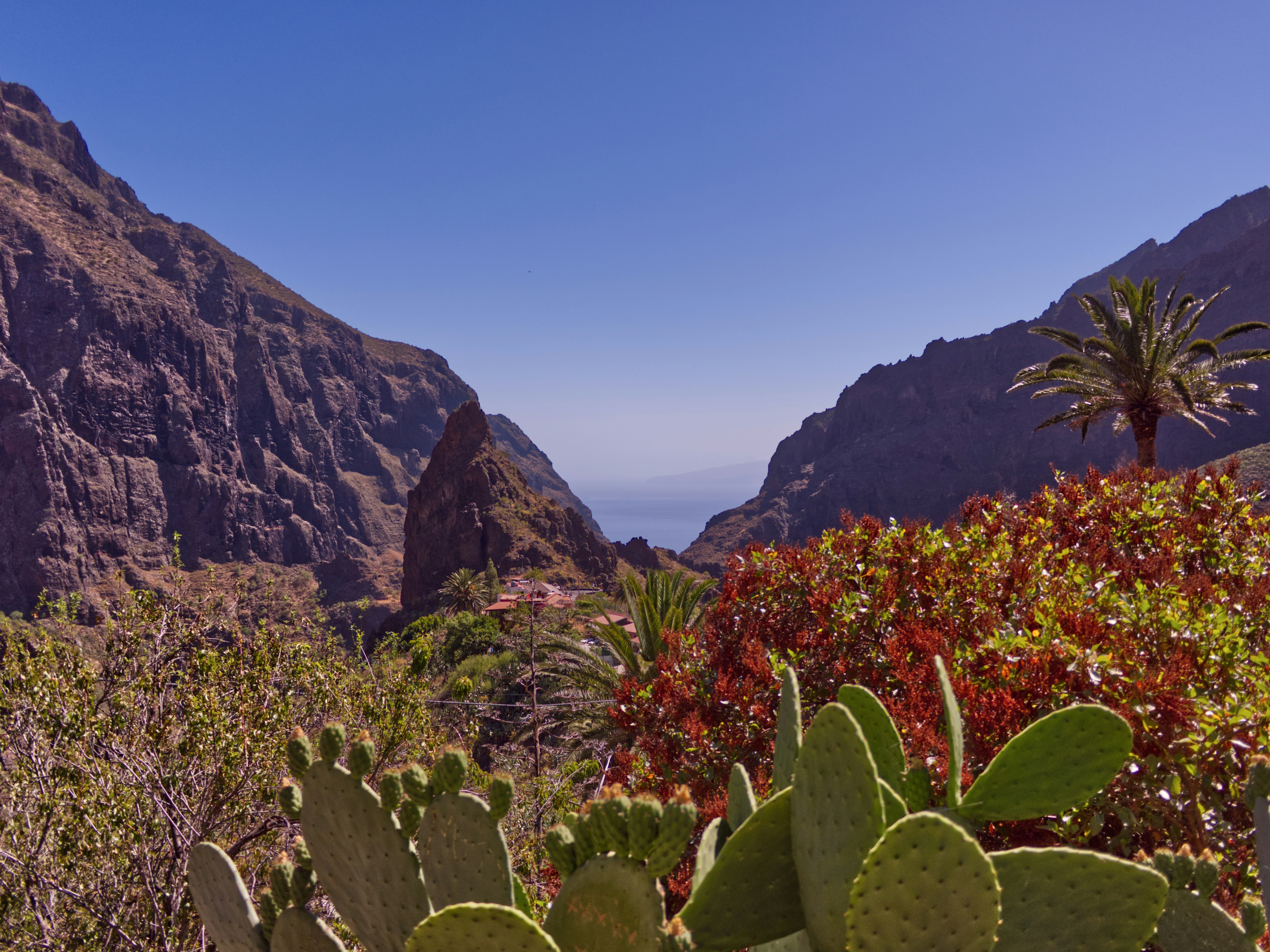 Photo by michaelbuechi