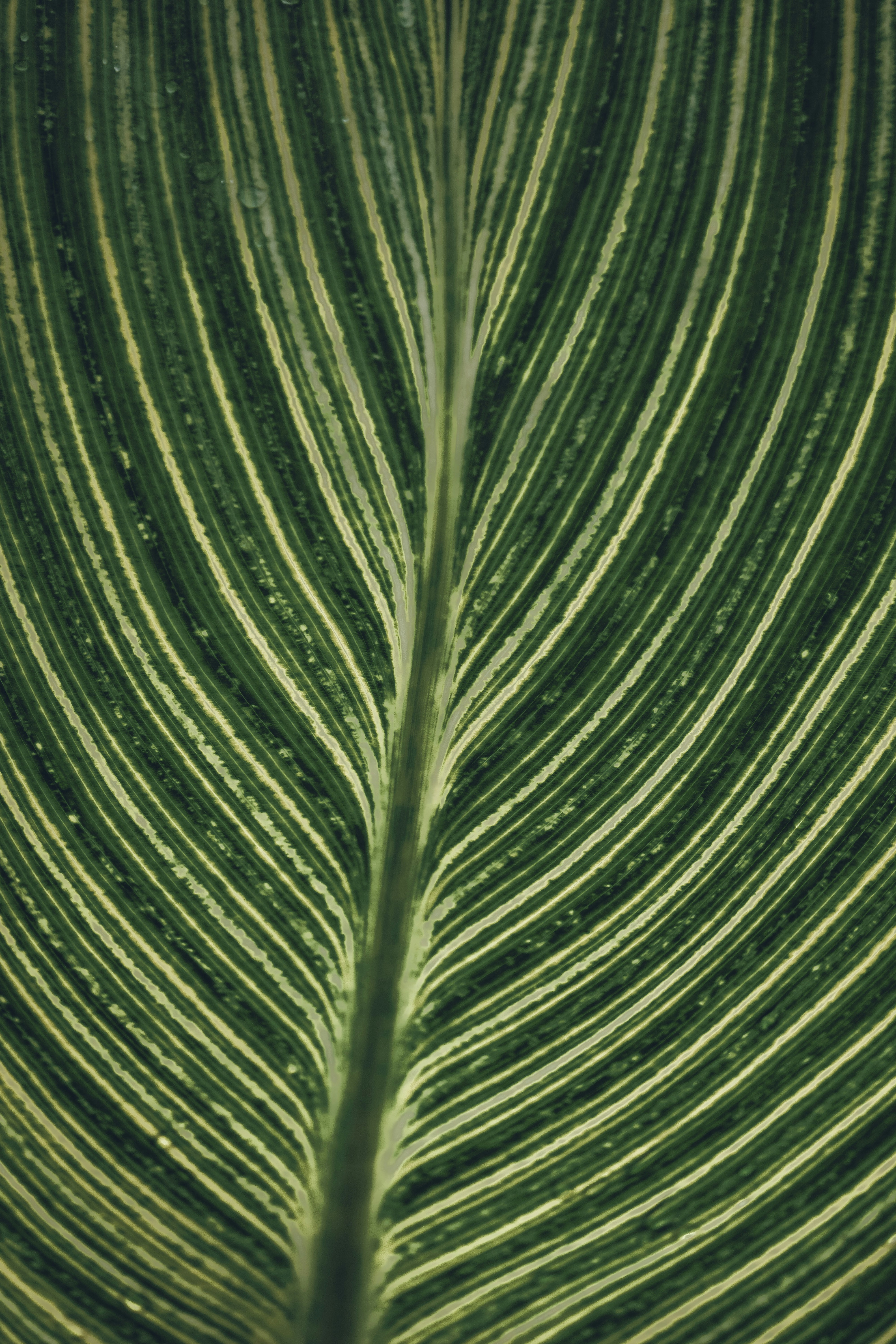 Photo by ja_domenech