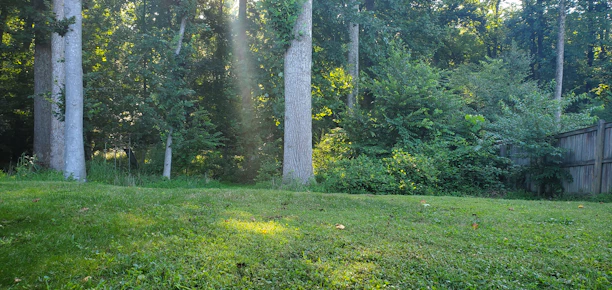 Family happily enjoying their pest-free backyard on a sunny day.
